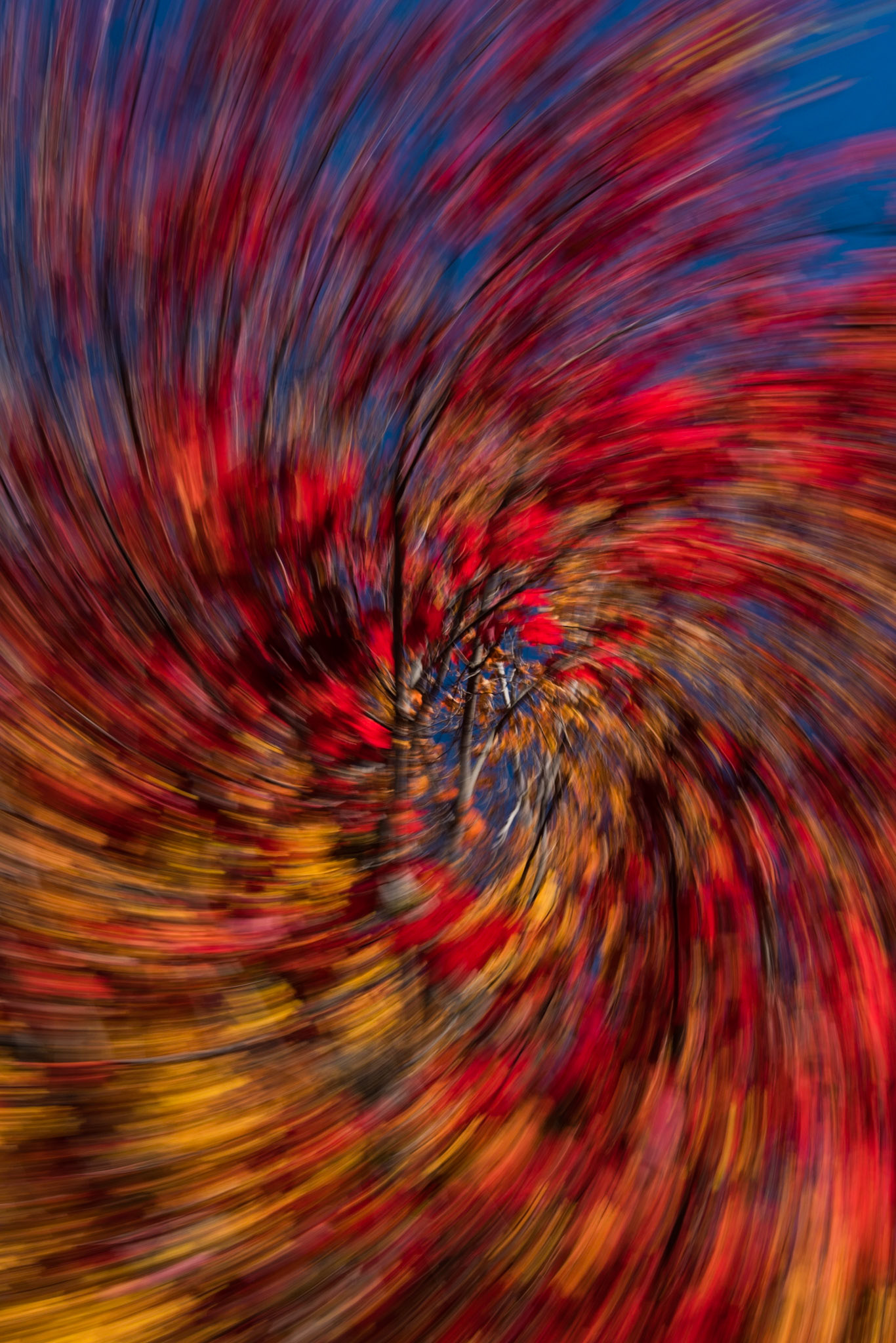 An abstract swirl of autumn leaves taken off the Kancamagus Highway in New Hampshire.