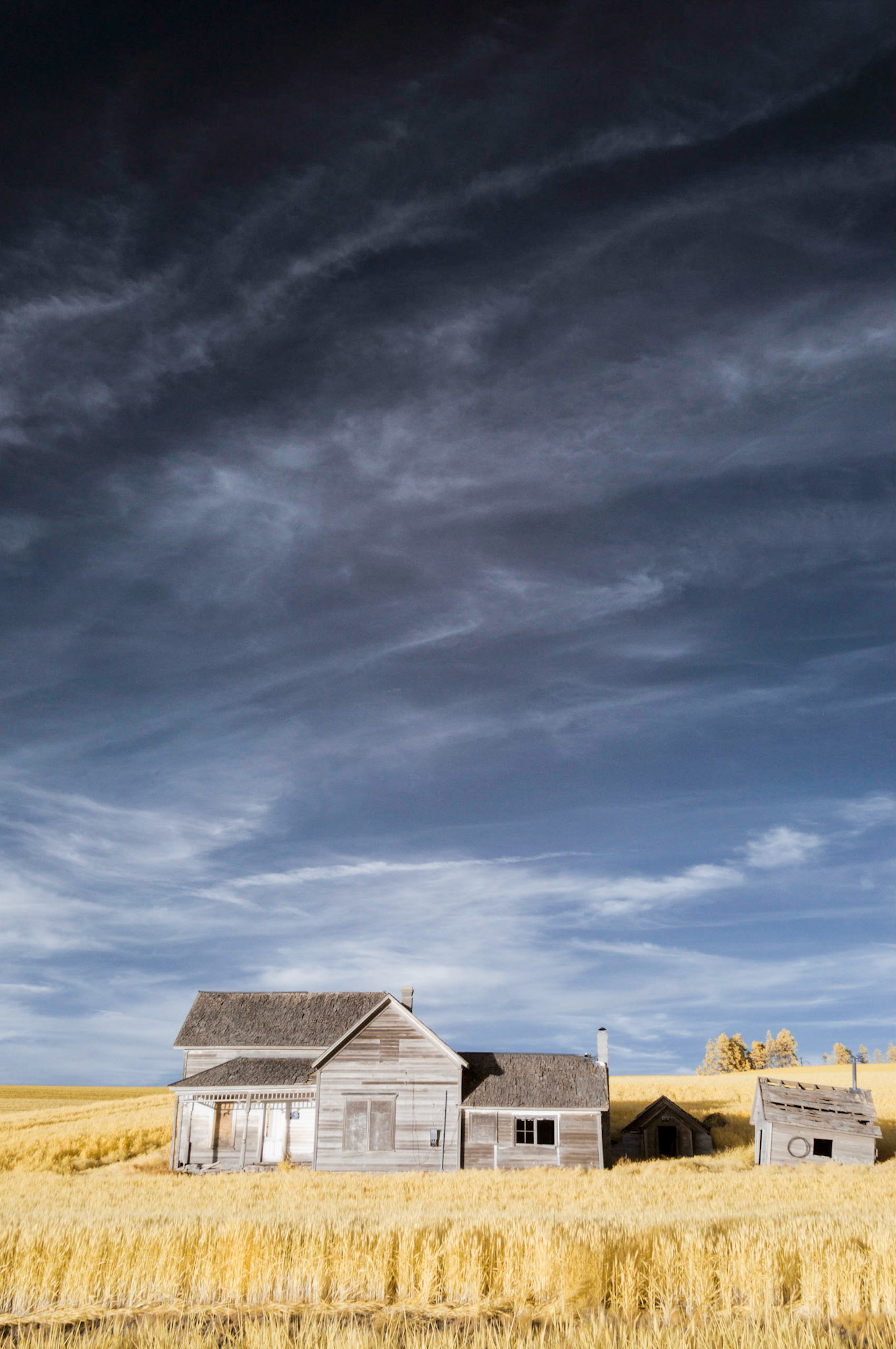 A derelict farmhouse on Weber Road near Pullman in the Palouse region of Washington state.