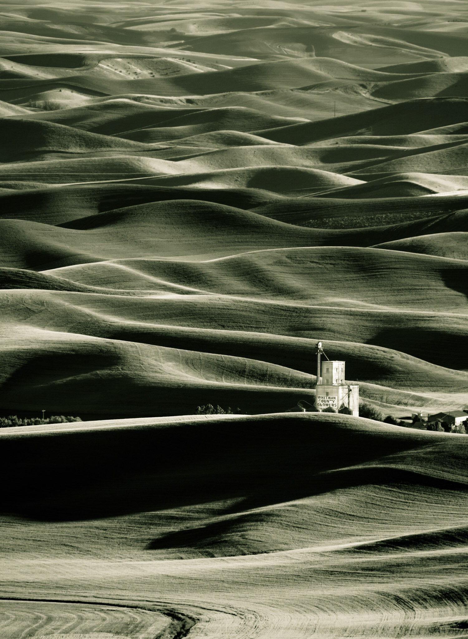 The rolling hills of Washington's Palouse region seen from Steptoe Butte State Park just prior to sunset.