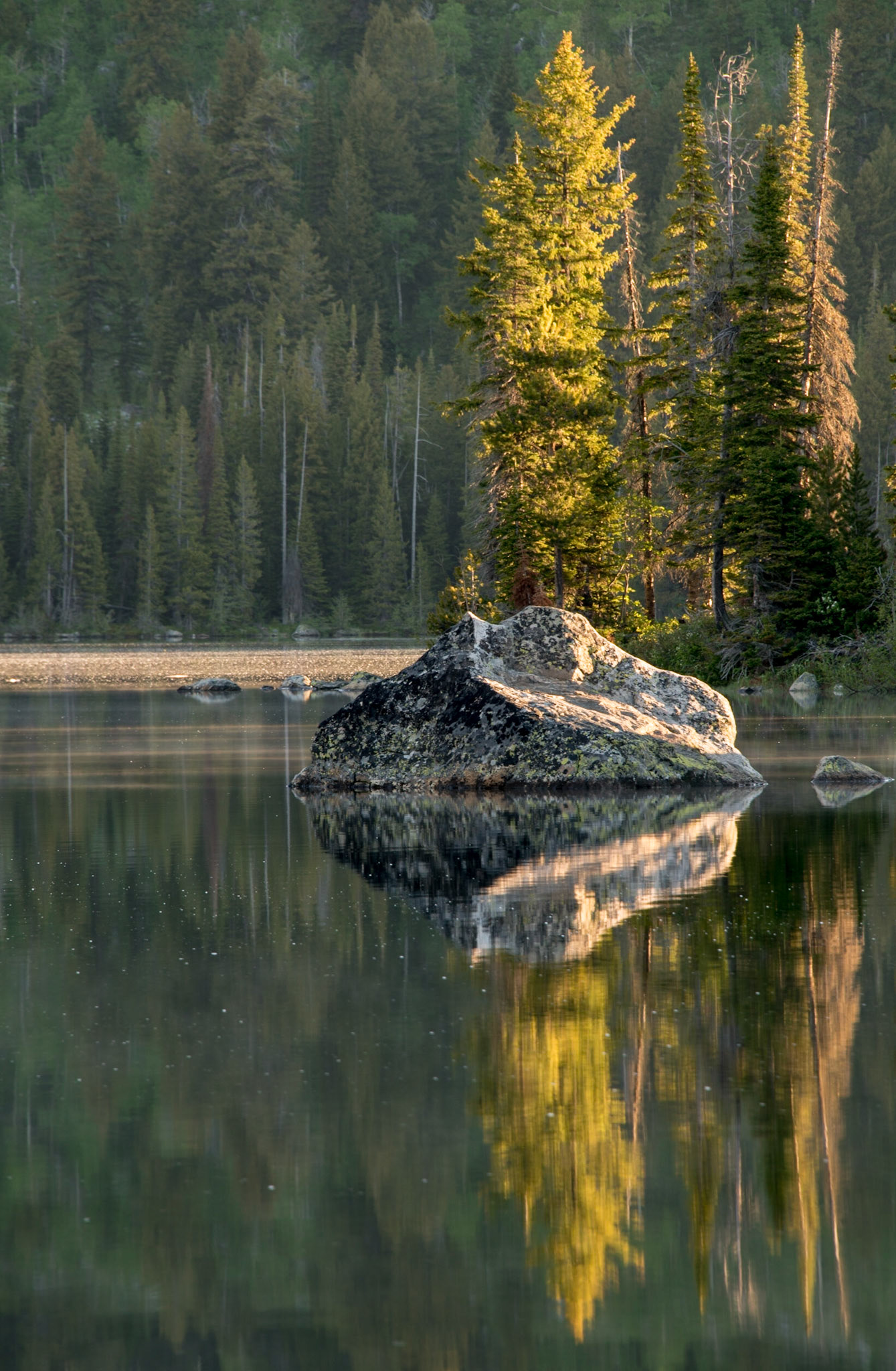 Reflections in the surface of Taggart Lake in Grand Teton National Park seen shortly after sunrise.