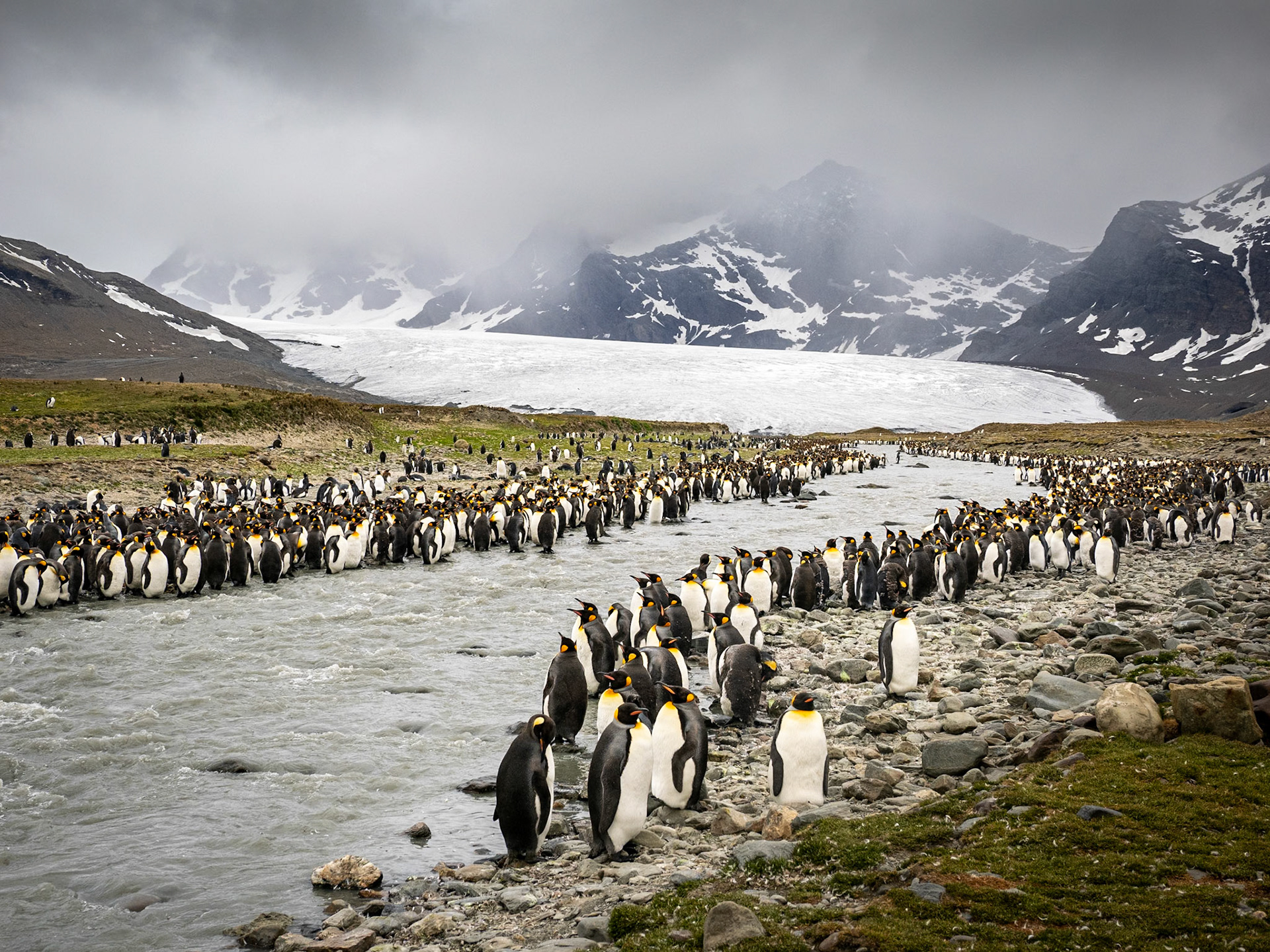 St. Andrews Bay, South Georgia