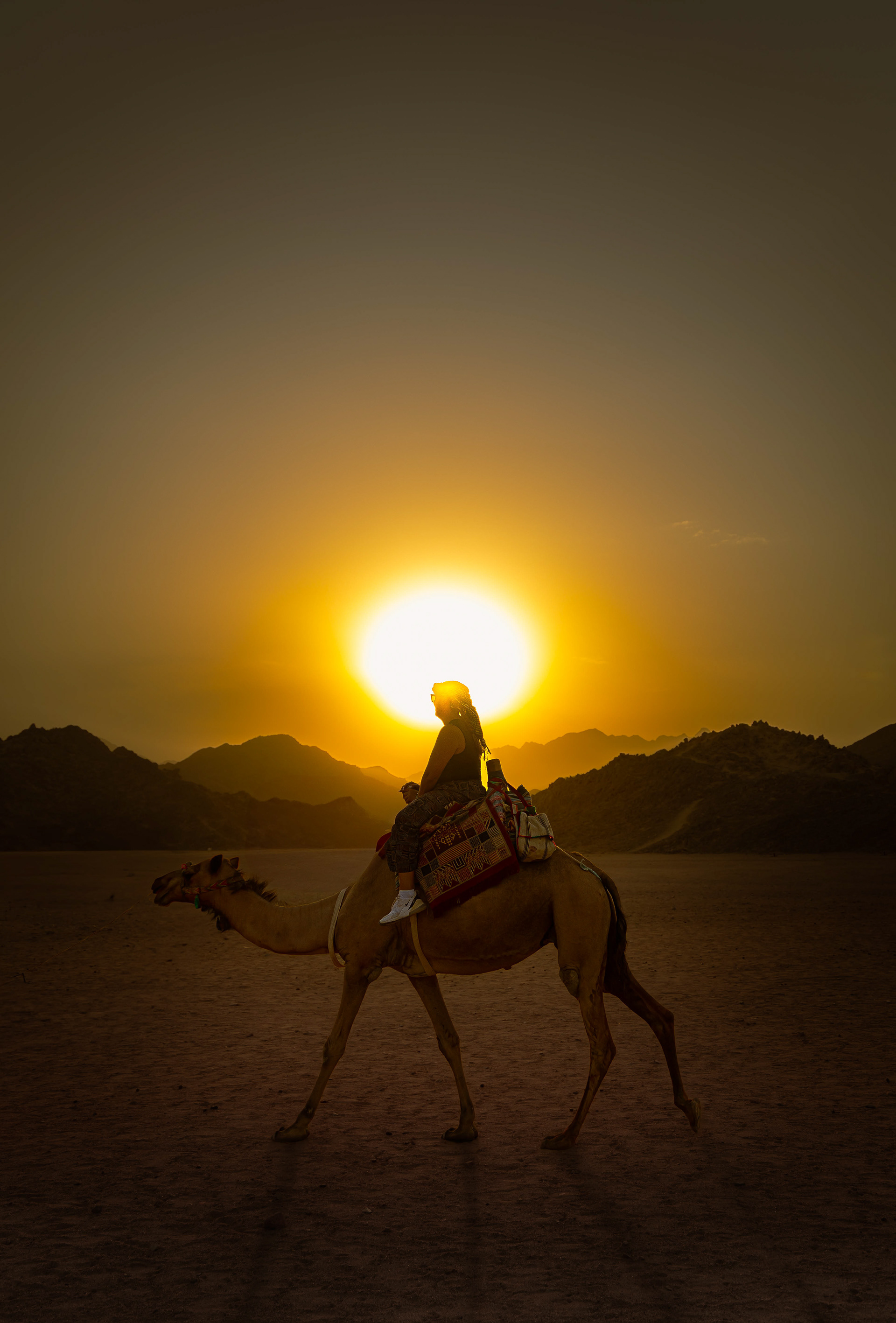 'Sunset camel cruise' - Egypt.