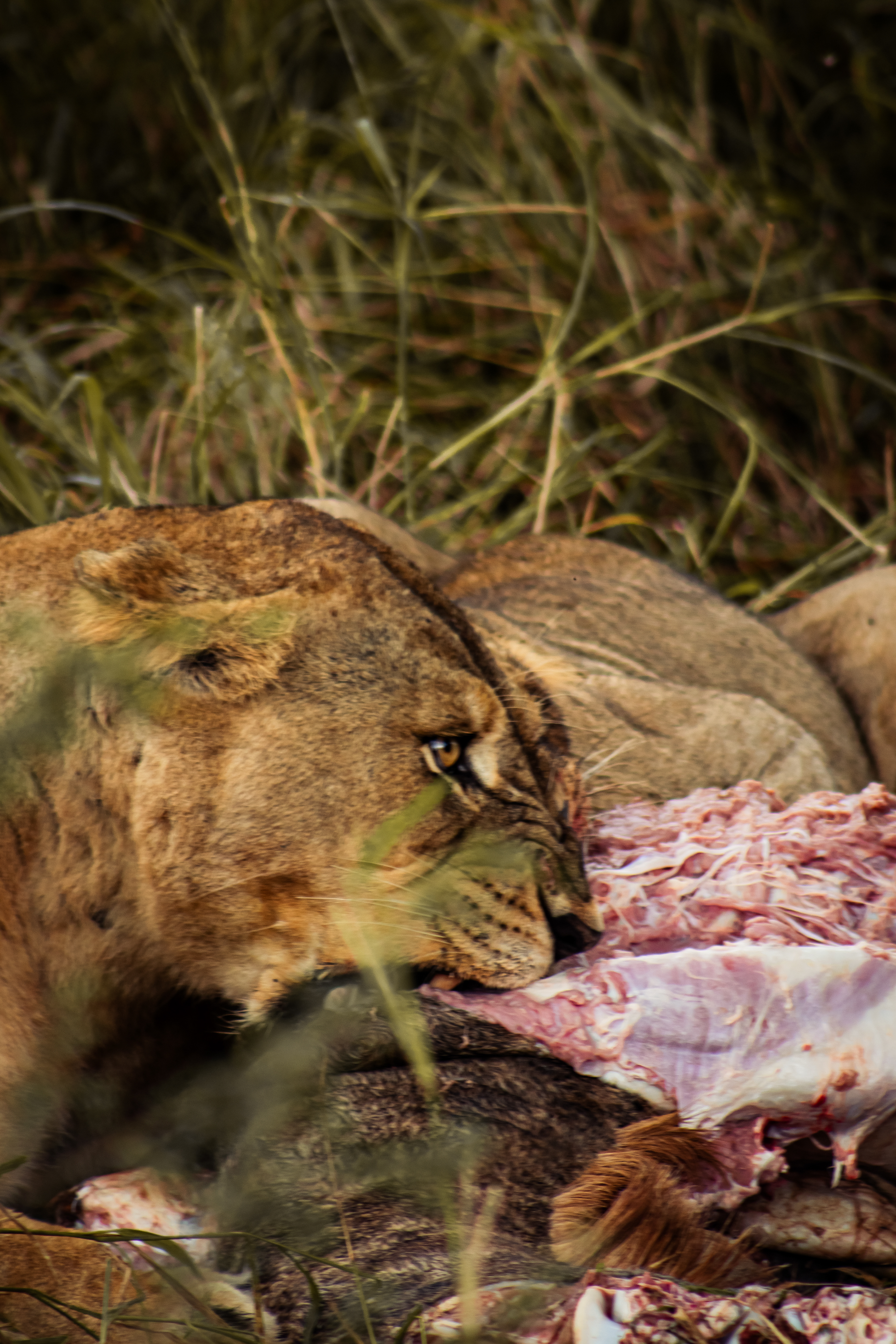 'Hunger' South Africa