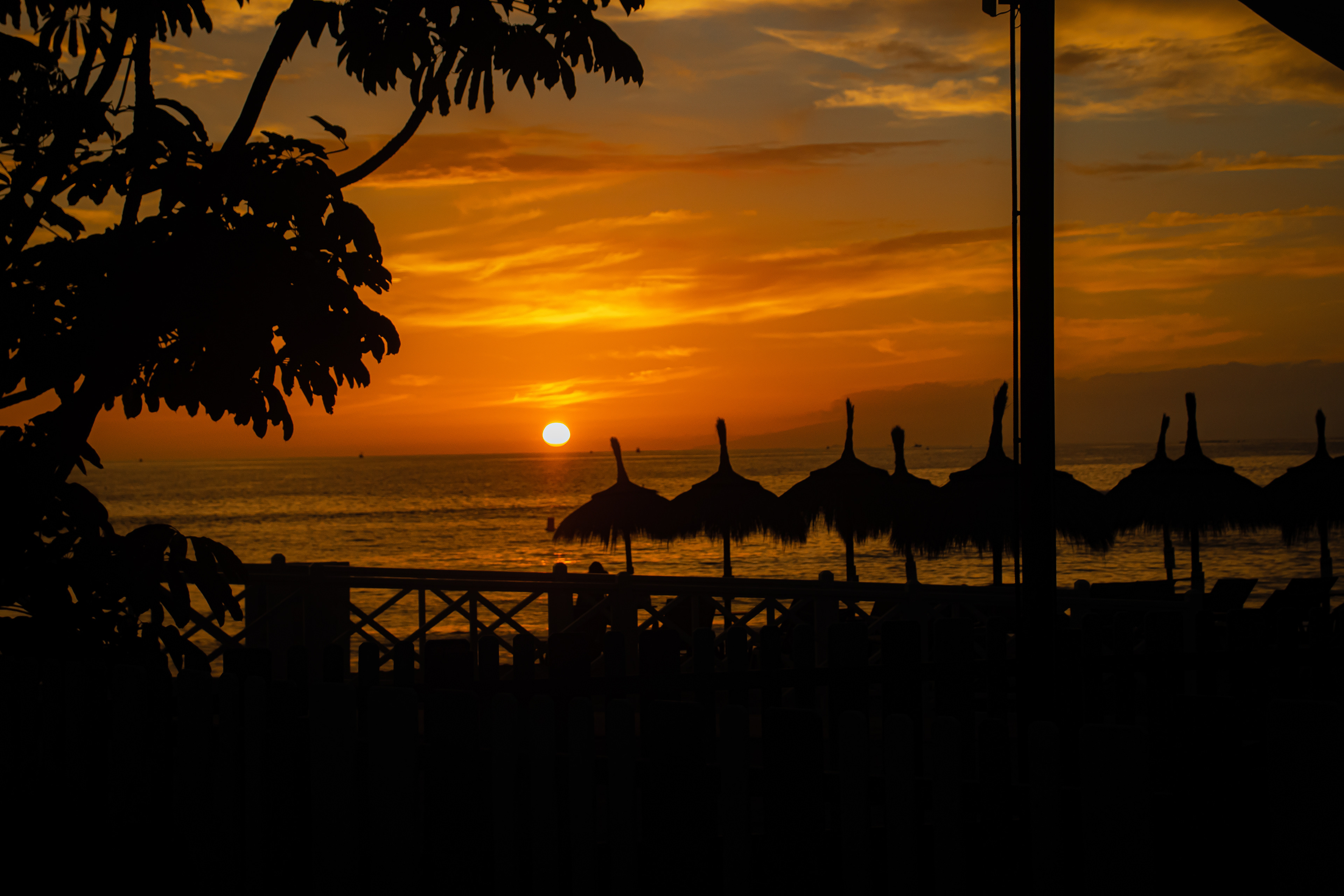 'Sunset Symphony' Los Cristianos, Tenerife