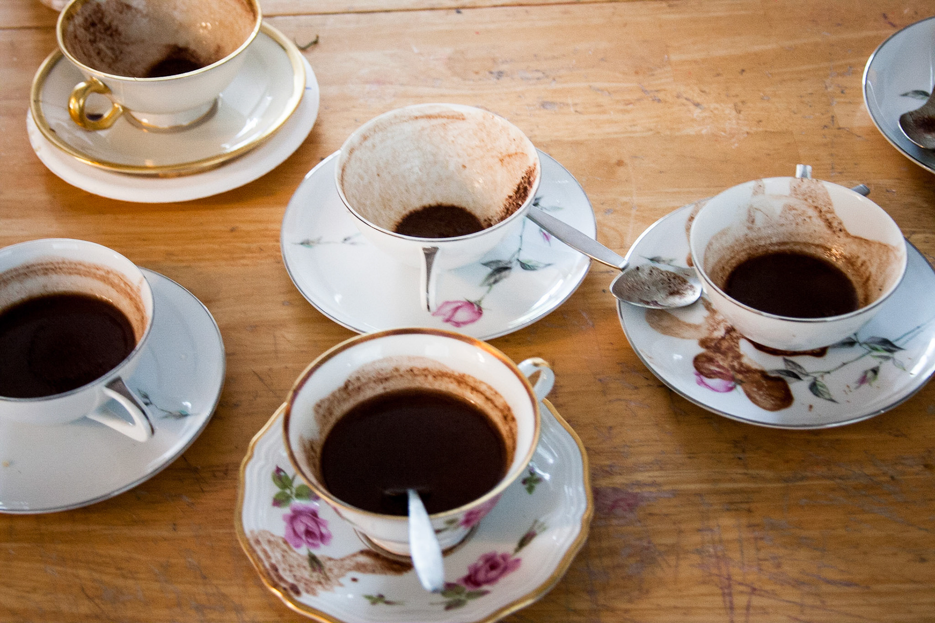 CREATE Community Cacao Ceremony