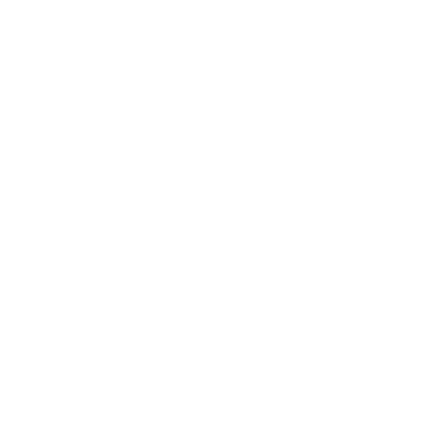 hanshund.de