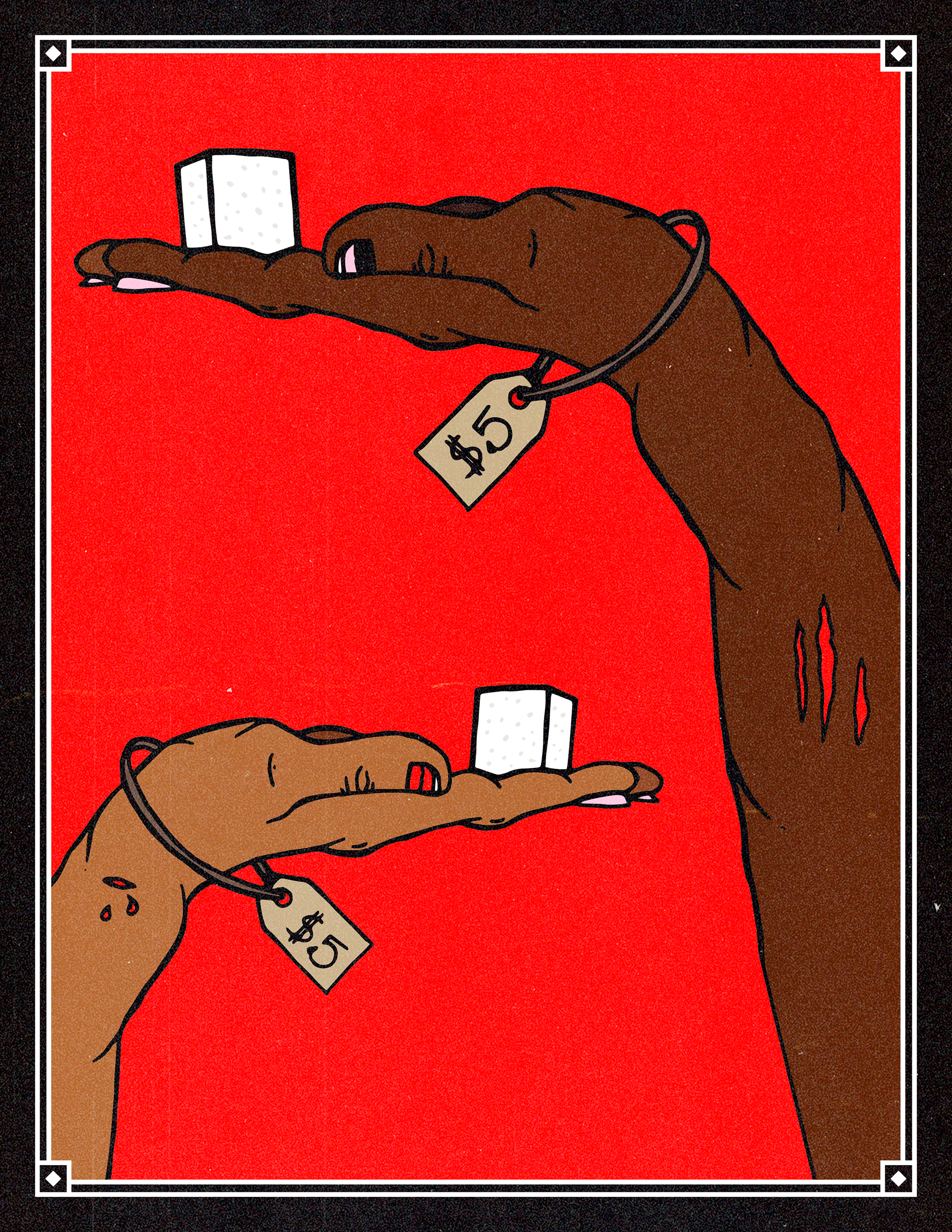 Concept Illustration for "The Price of Sugar"