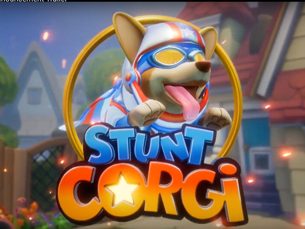 Stunt Corgi VR