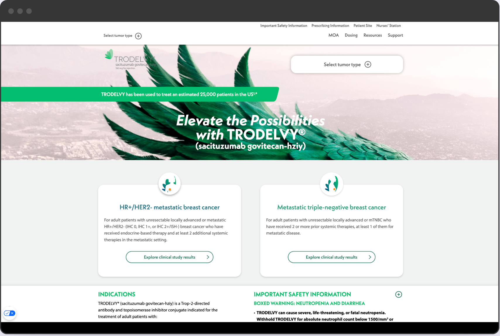 Snapshots of the live website