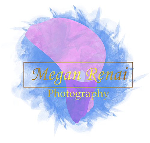 Megan Renai Photography