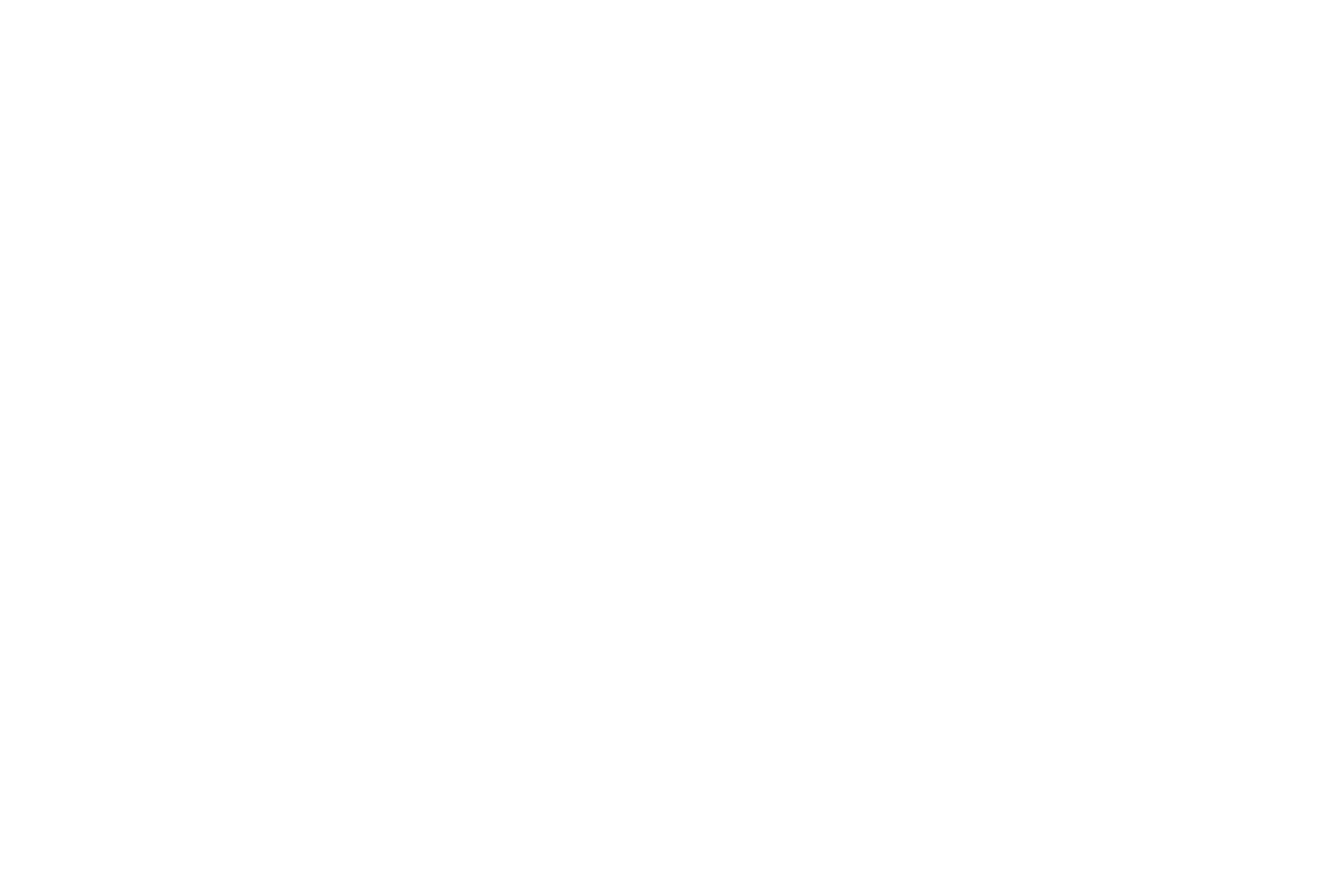 Raul Moura