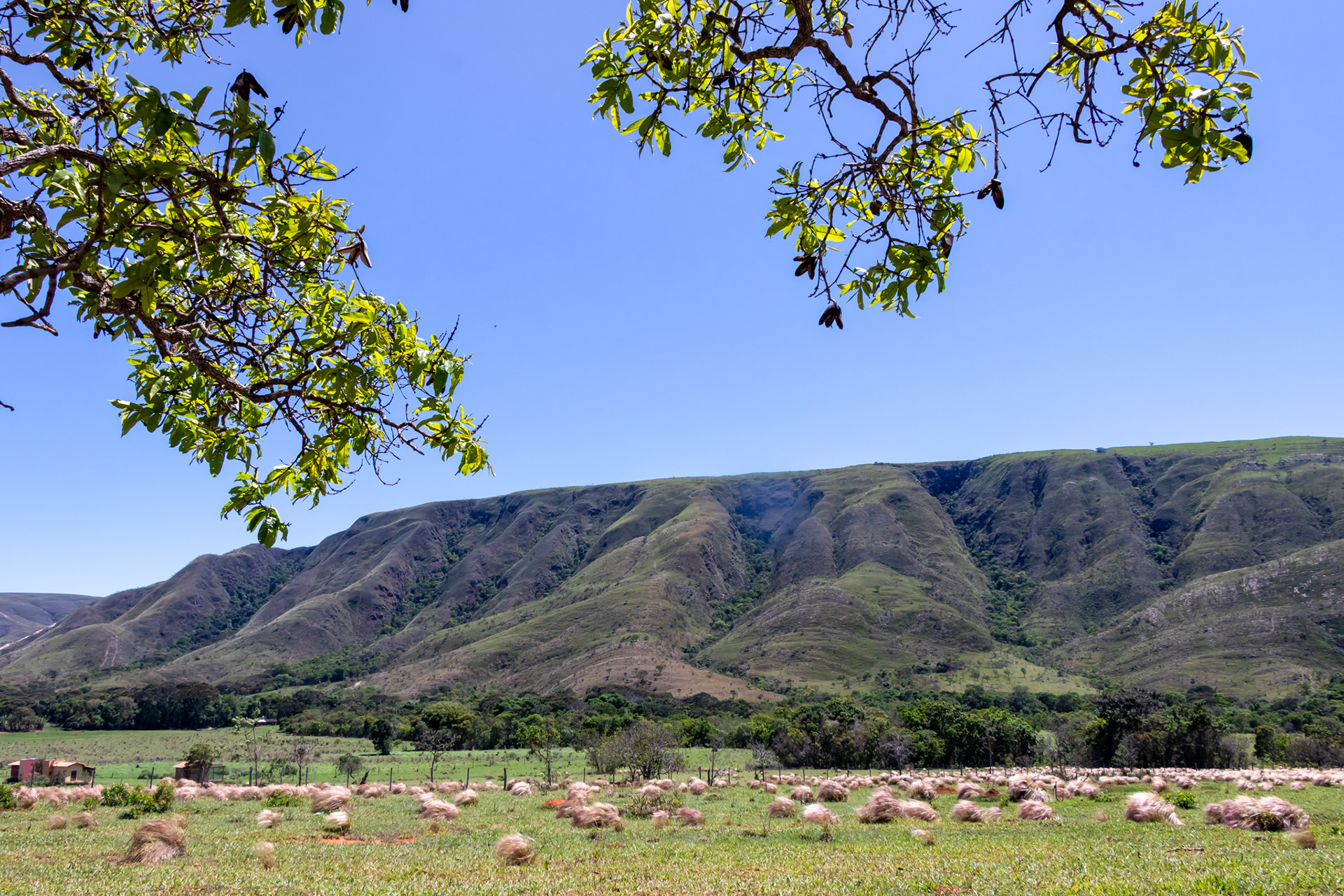 Serra da Canastra - MG.