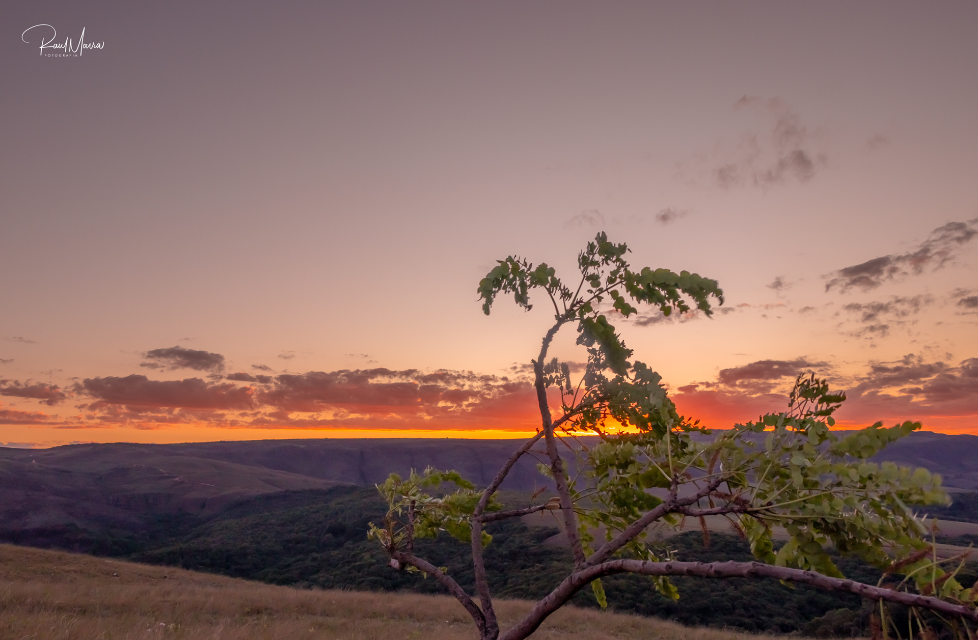 Serra da Canastra - MG - 02.
