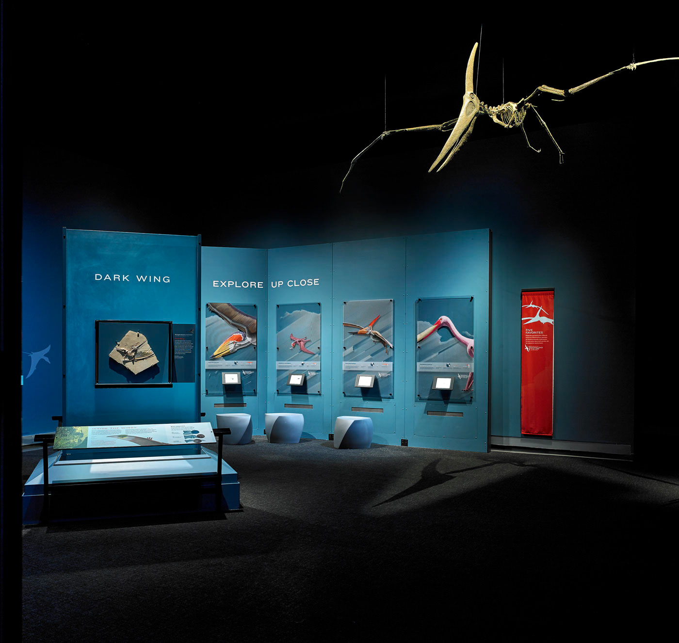 Pterosaurs - Natural History Museum L.A.