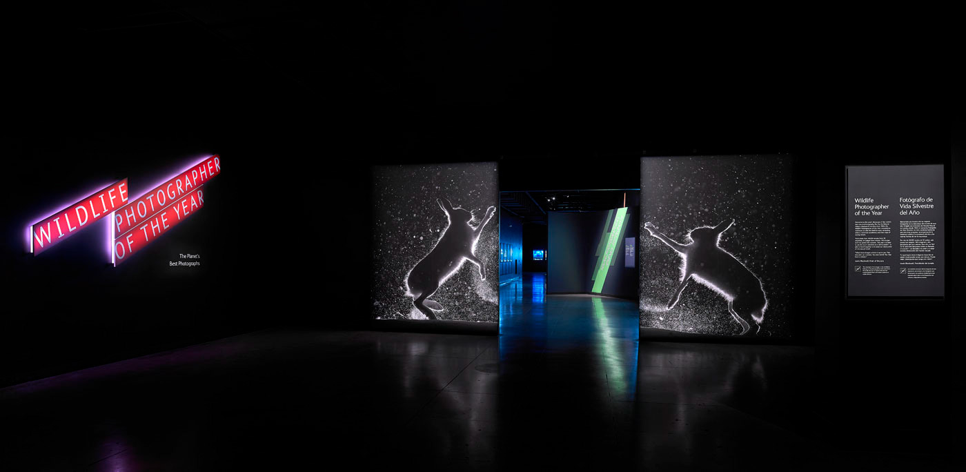 Wildlife Photographer of the Year - Natural History Museum L.A.