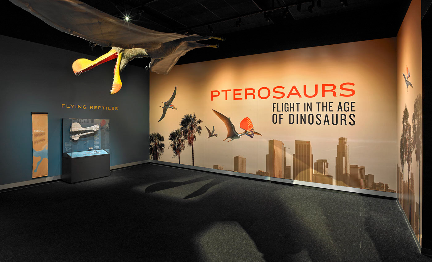 Pterosaurs - Natural History Museum L.A.