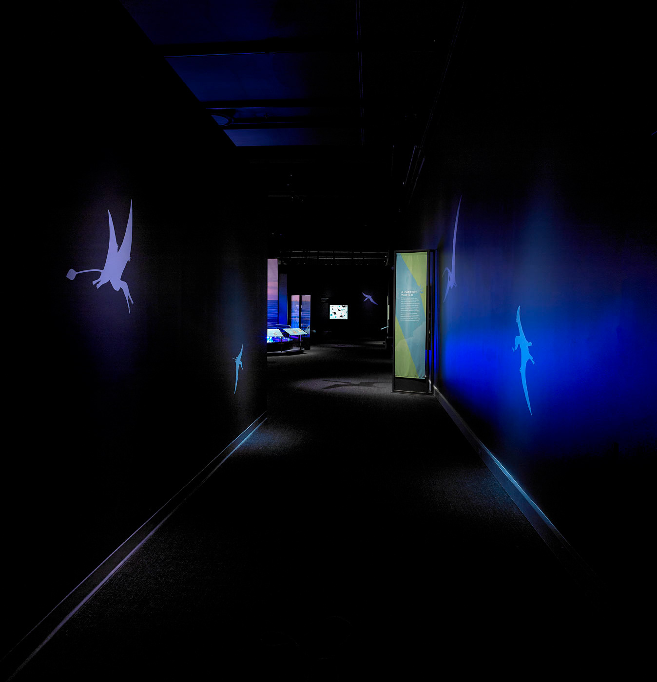 Pterosaurs - Natural History Museum L.A.