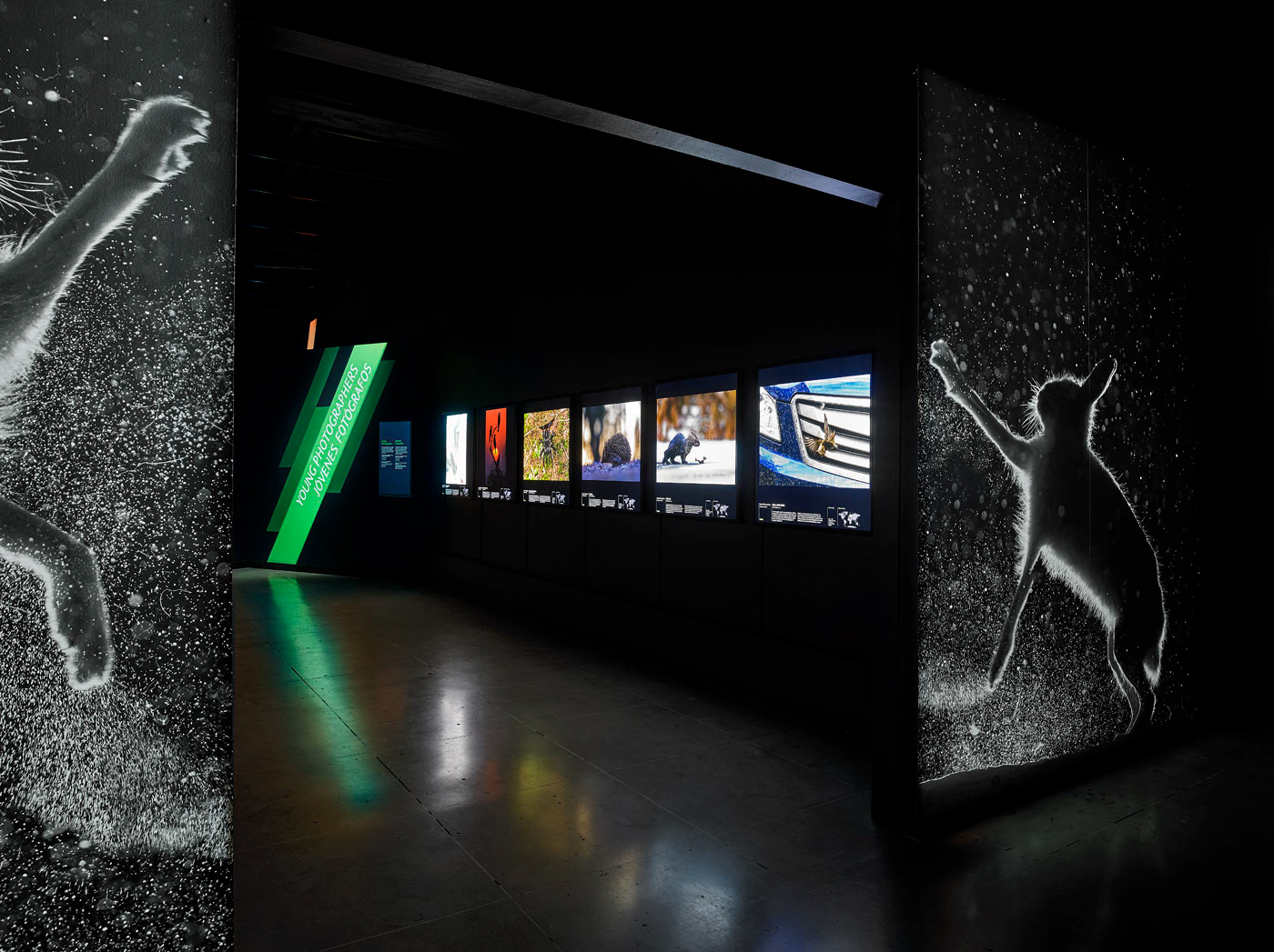 Wildlife Photographer of the Year - Natural History Museum L.A.