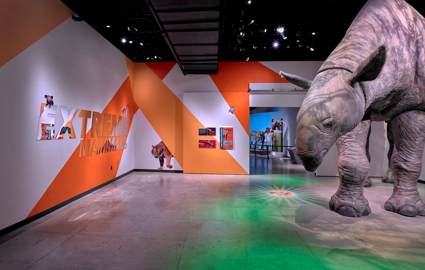 Extreme Mammals - Natural History Museum L.A.