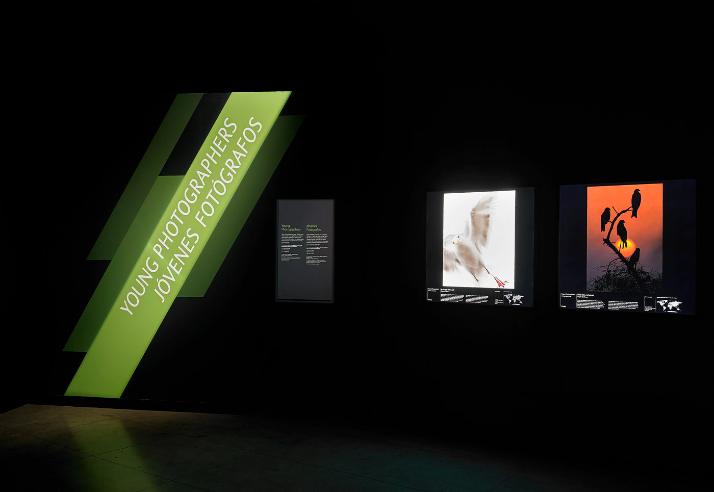 Wildlife Photographer of the Year - Natural History Museum L.A.