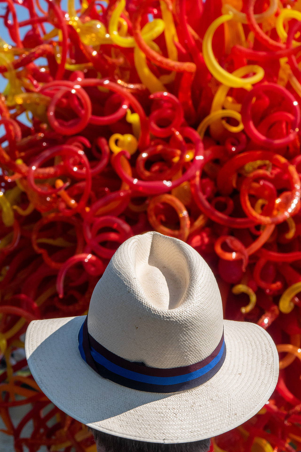 Englishman visits the Chihuly exhibition at Kew Gardens