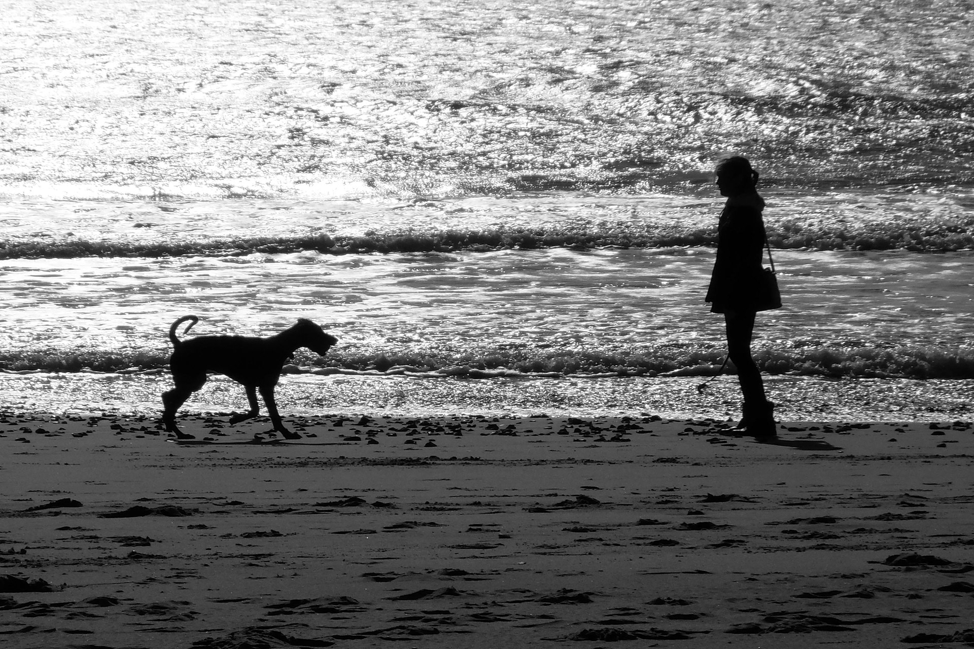 Lady walking her dog on the beach at Boscombe