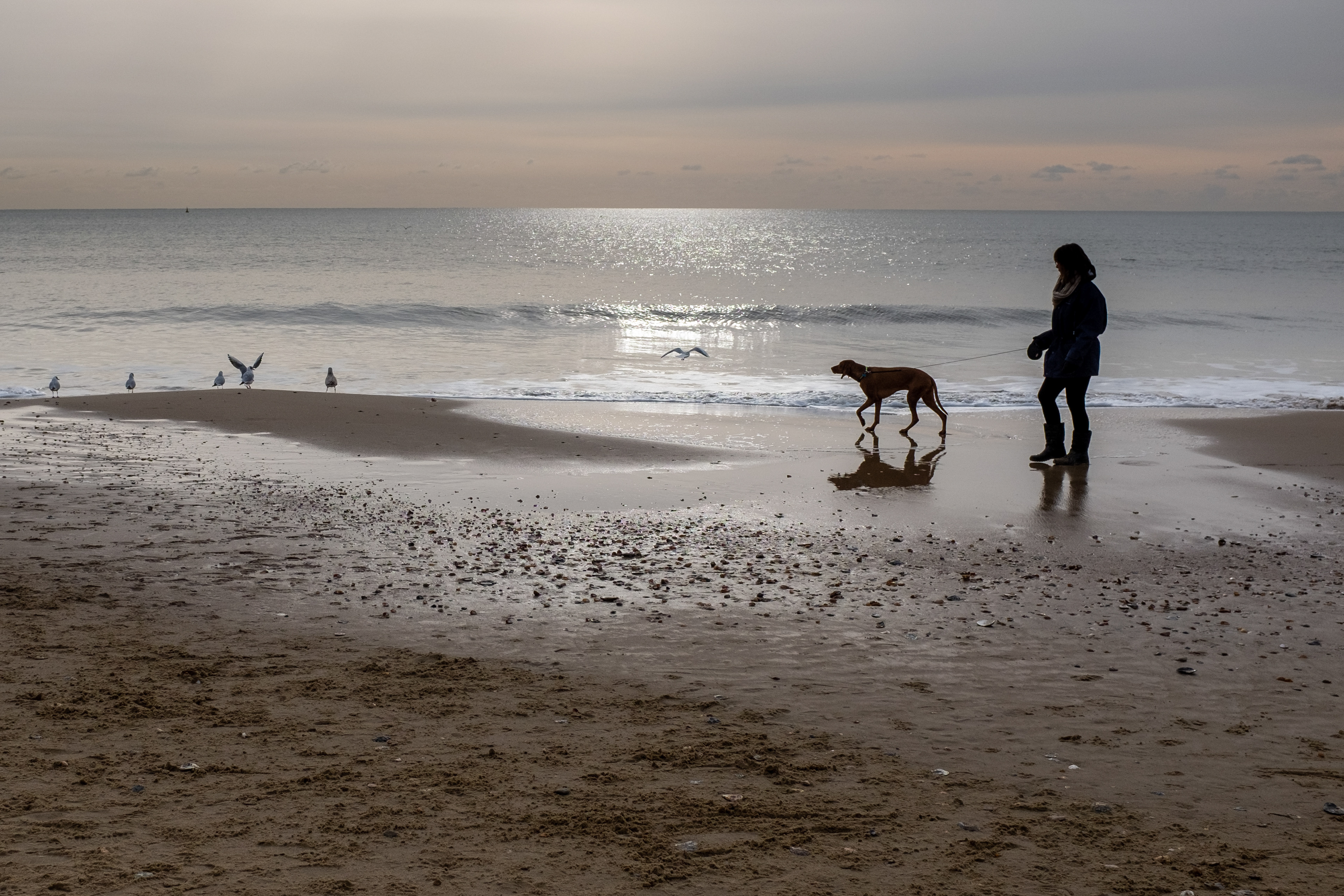 Dog walker on the beach at Boscombe in Dorset