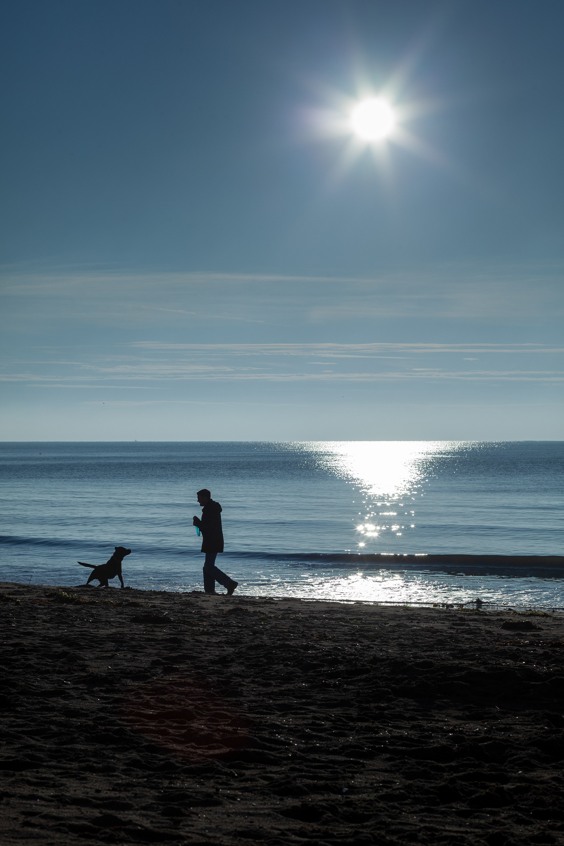 Dog walking at Fisherman's Walk, Bournemouth