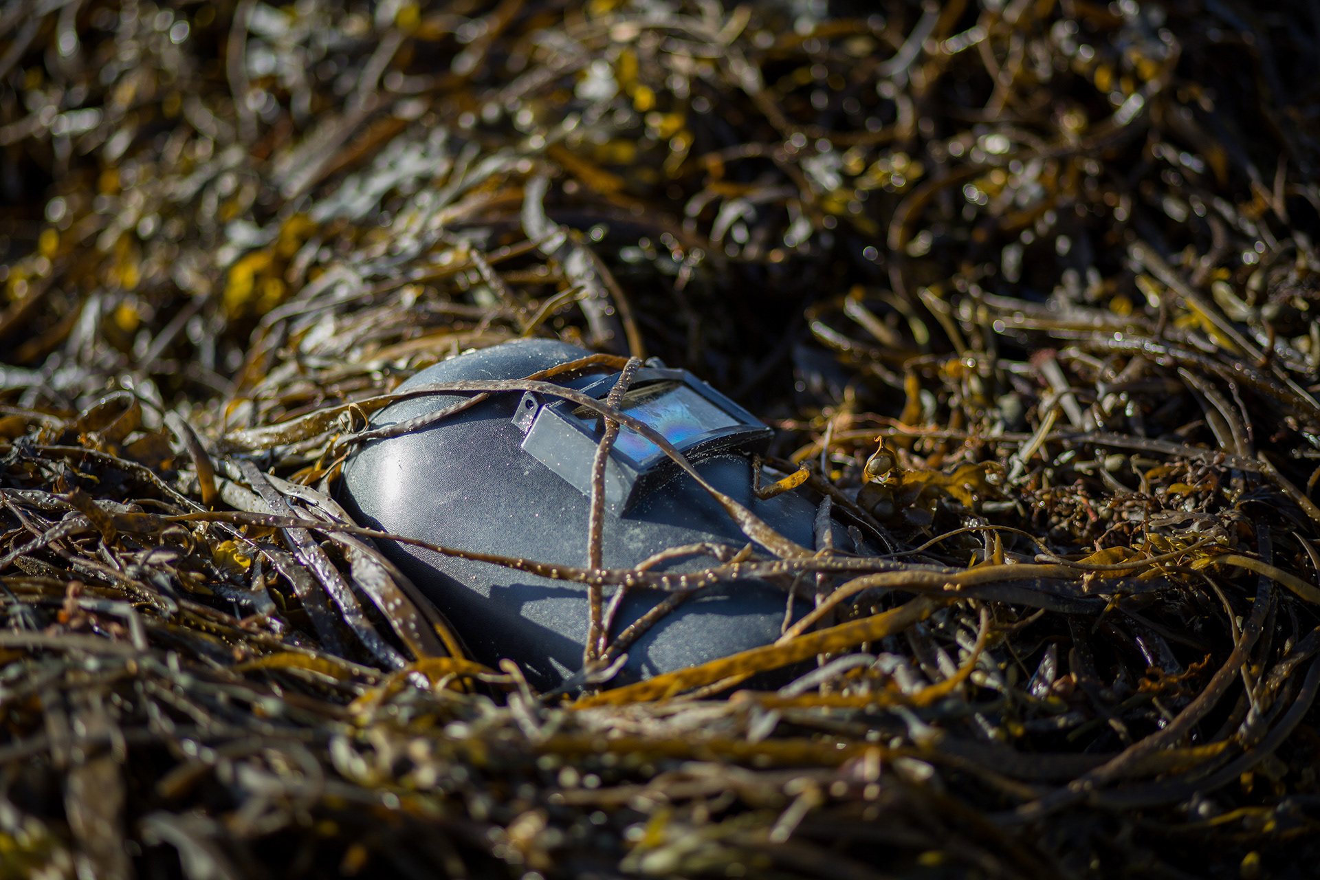 Welder's mask washed up on the beach at Bournemouth