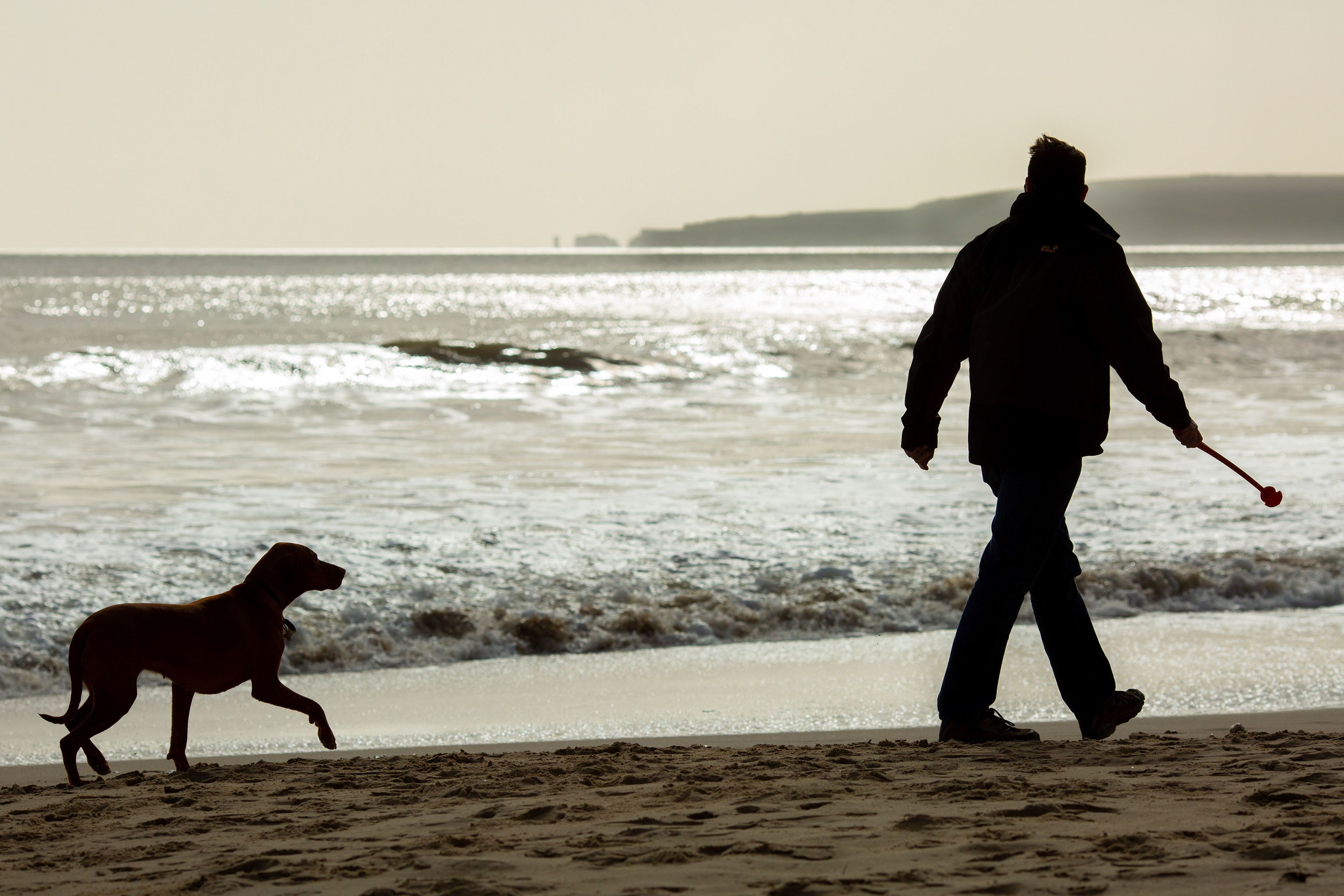 Man walking his dog on the beach at Bournemouth