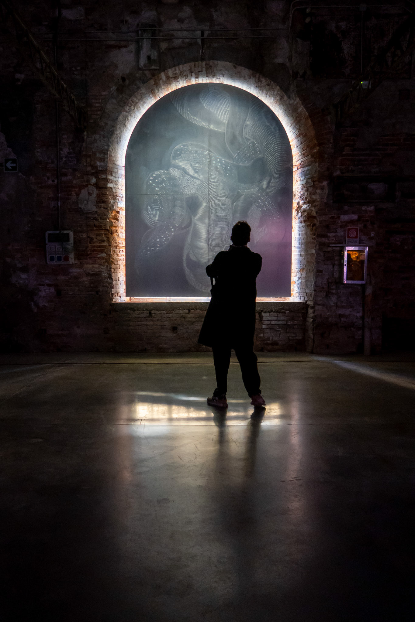 Member of the public views art at the Venice Biennale 2024