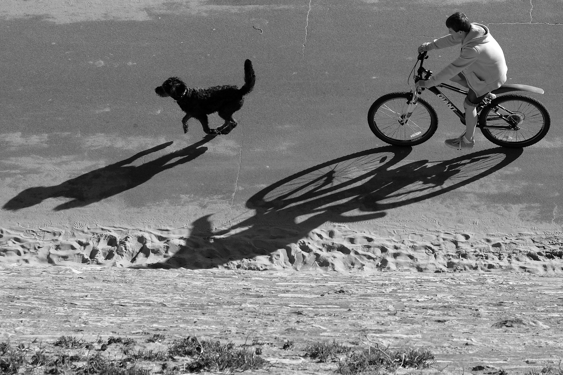 Cyclist and dog with shadows at Fisherman's Walk in Bournemouth