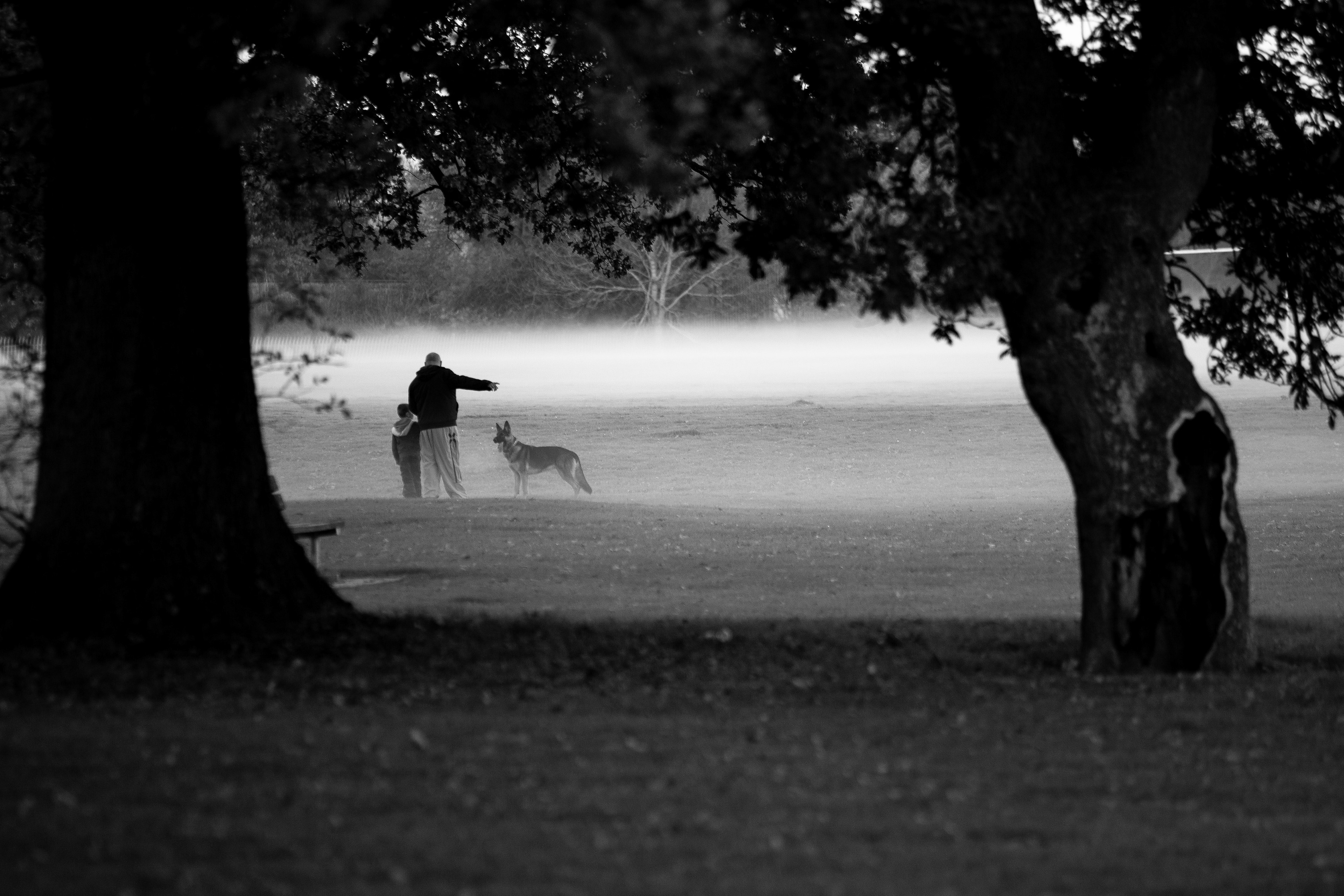 A father and son walk their dog in the early morning mist, Bournemouth