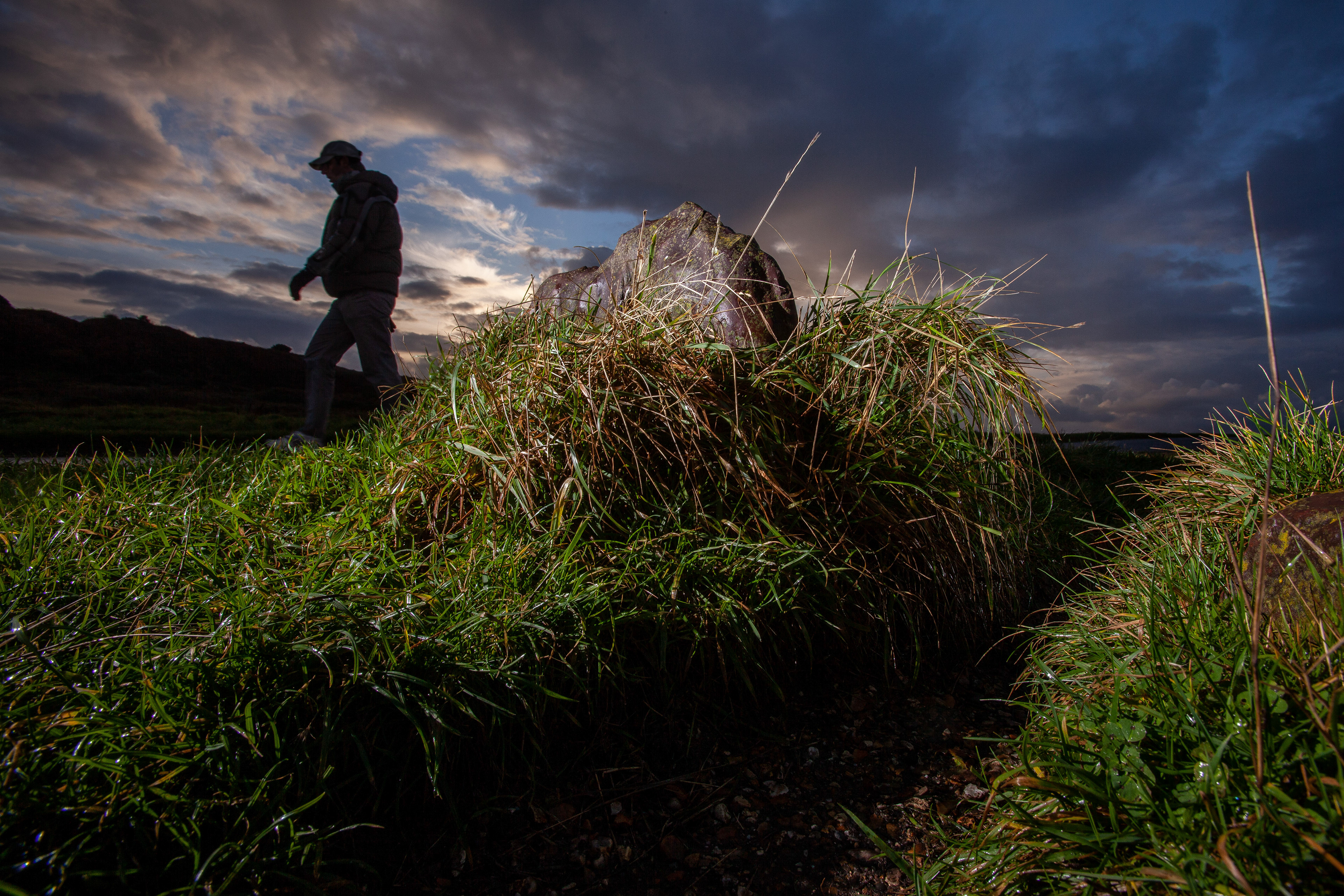Pedestrian walks past grass covered boulder at Hengistbury Head near Bournemouth