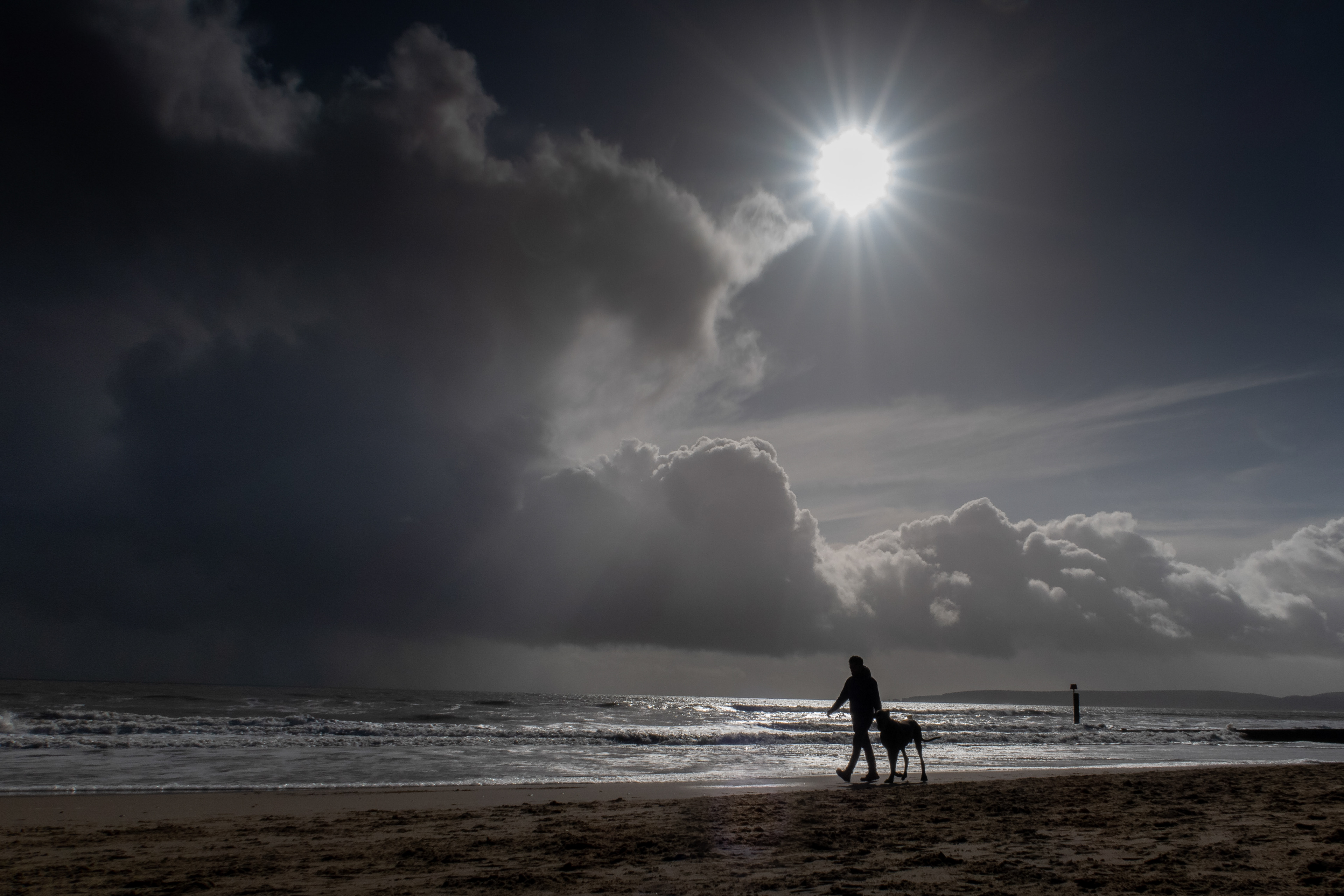 Dog walking on the beach at Fisherman's Walk, Bournemouth
