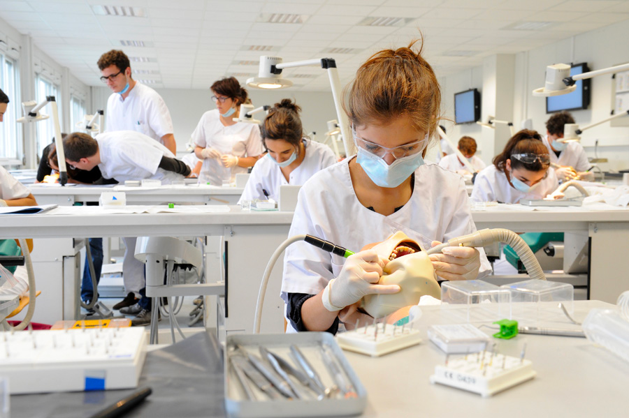 Mini Lab | Le progrès au grand jour