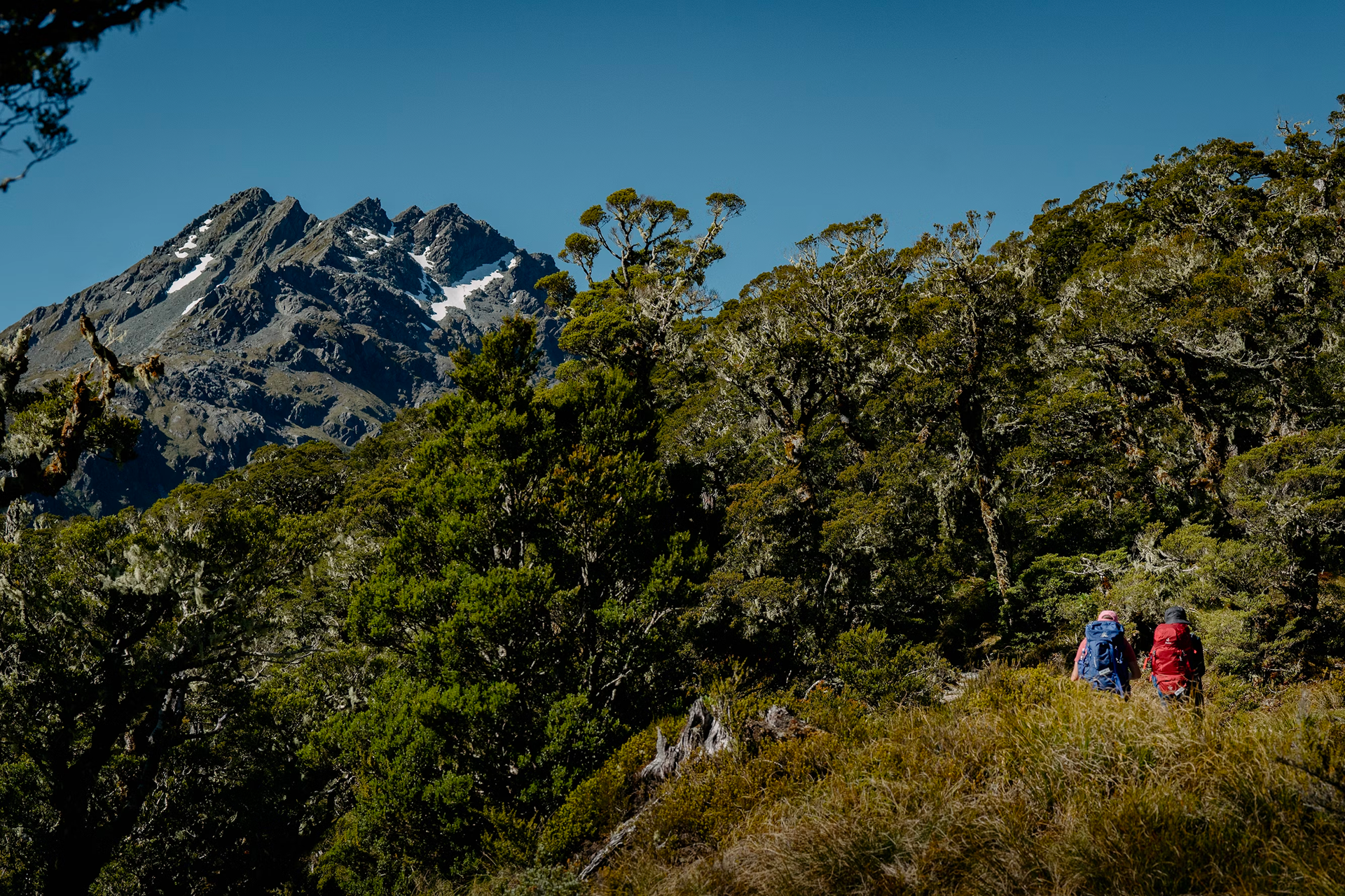 Routeburn Track