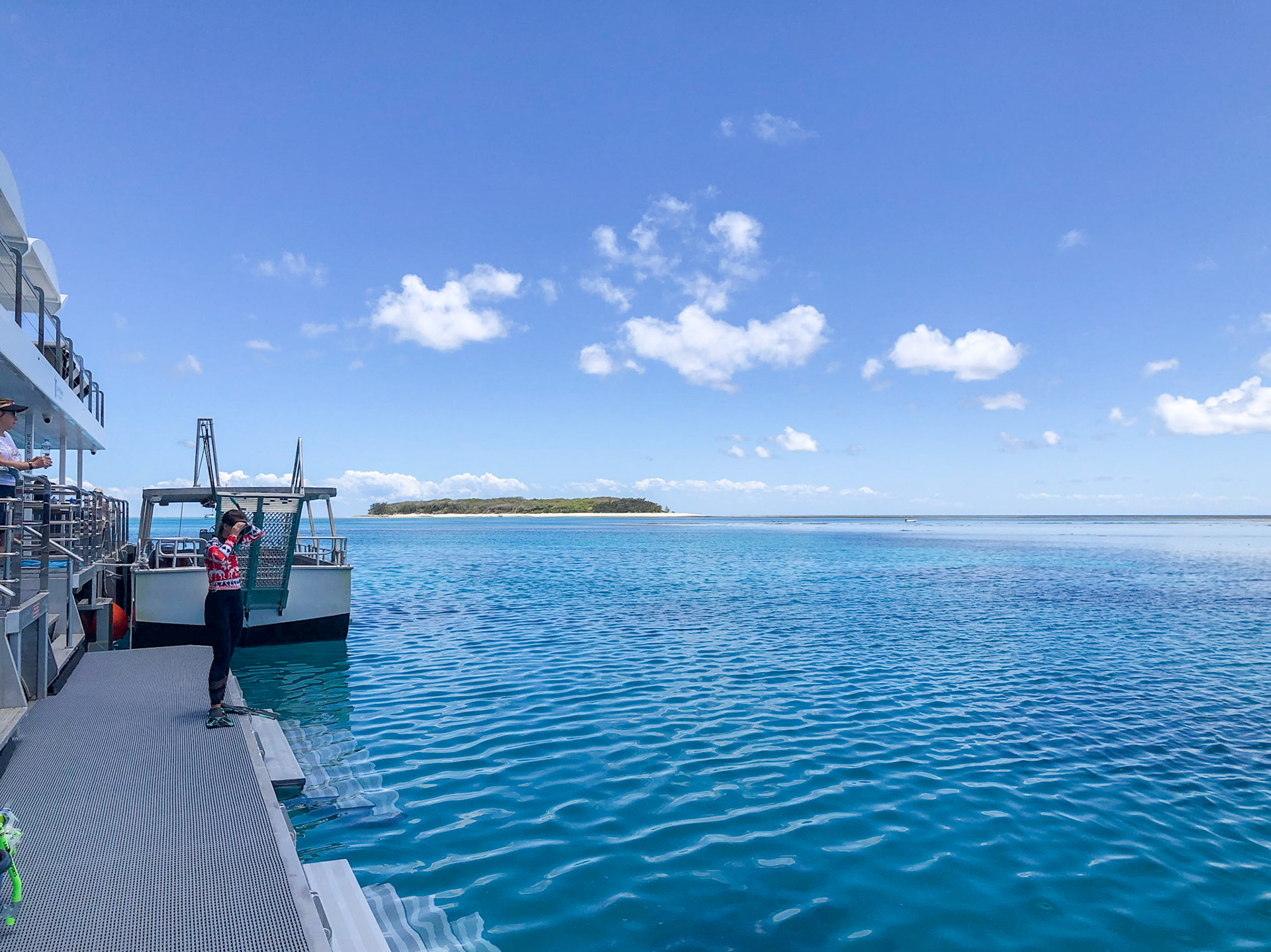 Snorkelling off the HQ in the Lady Musgrave Lagoon