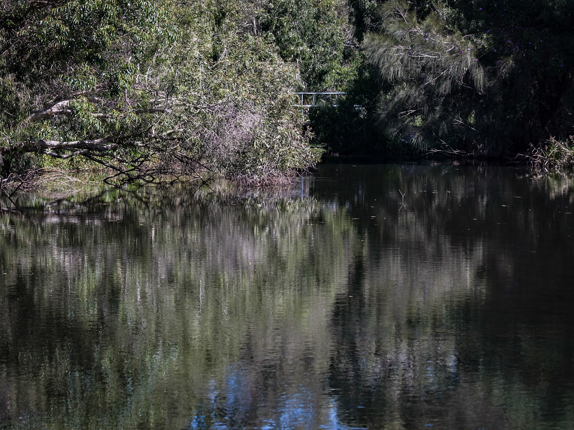 Baldwin Swamp Environment Park