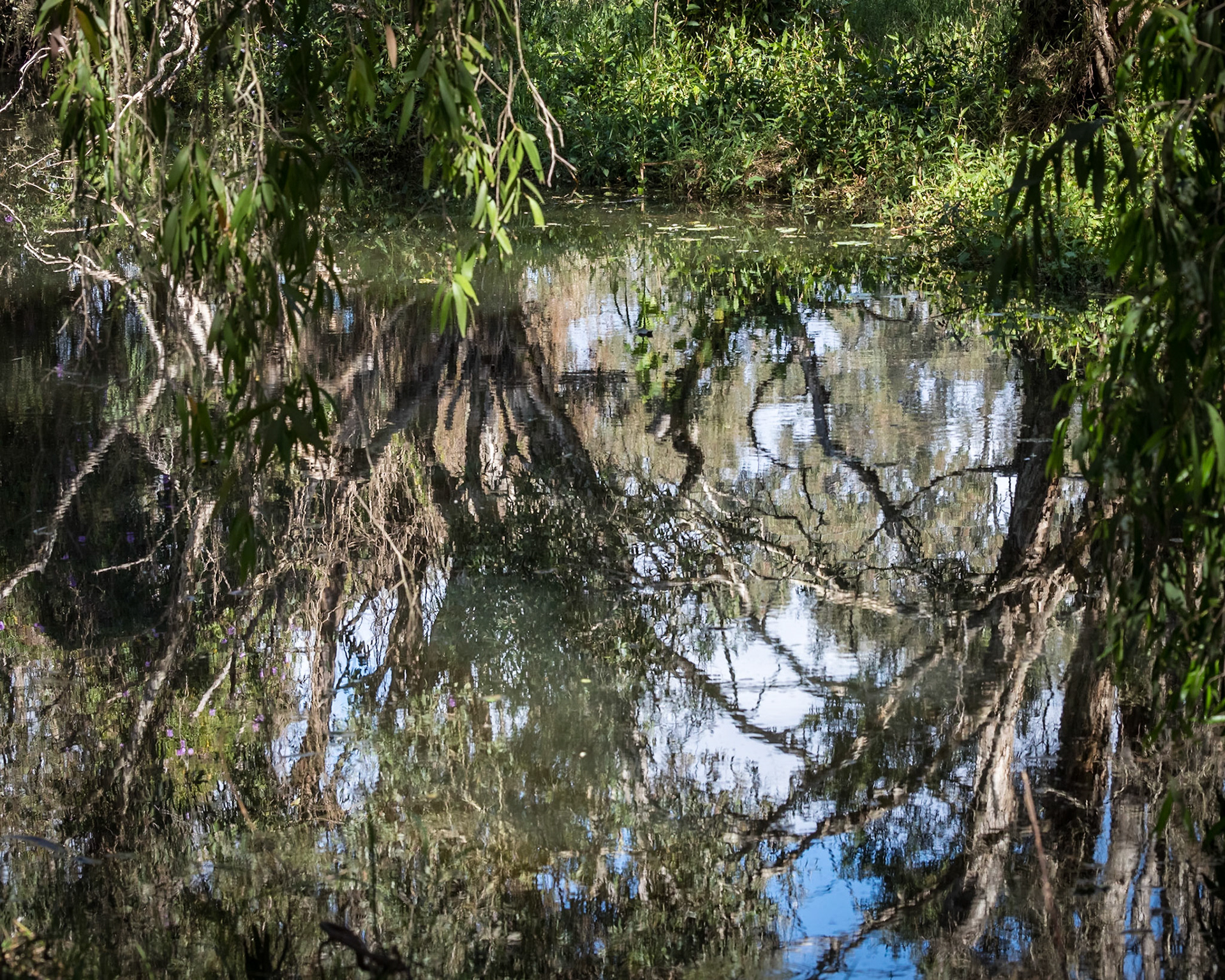 Baldwin Swamp Environment Park
