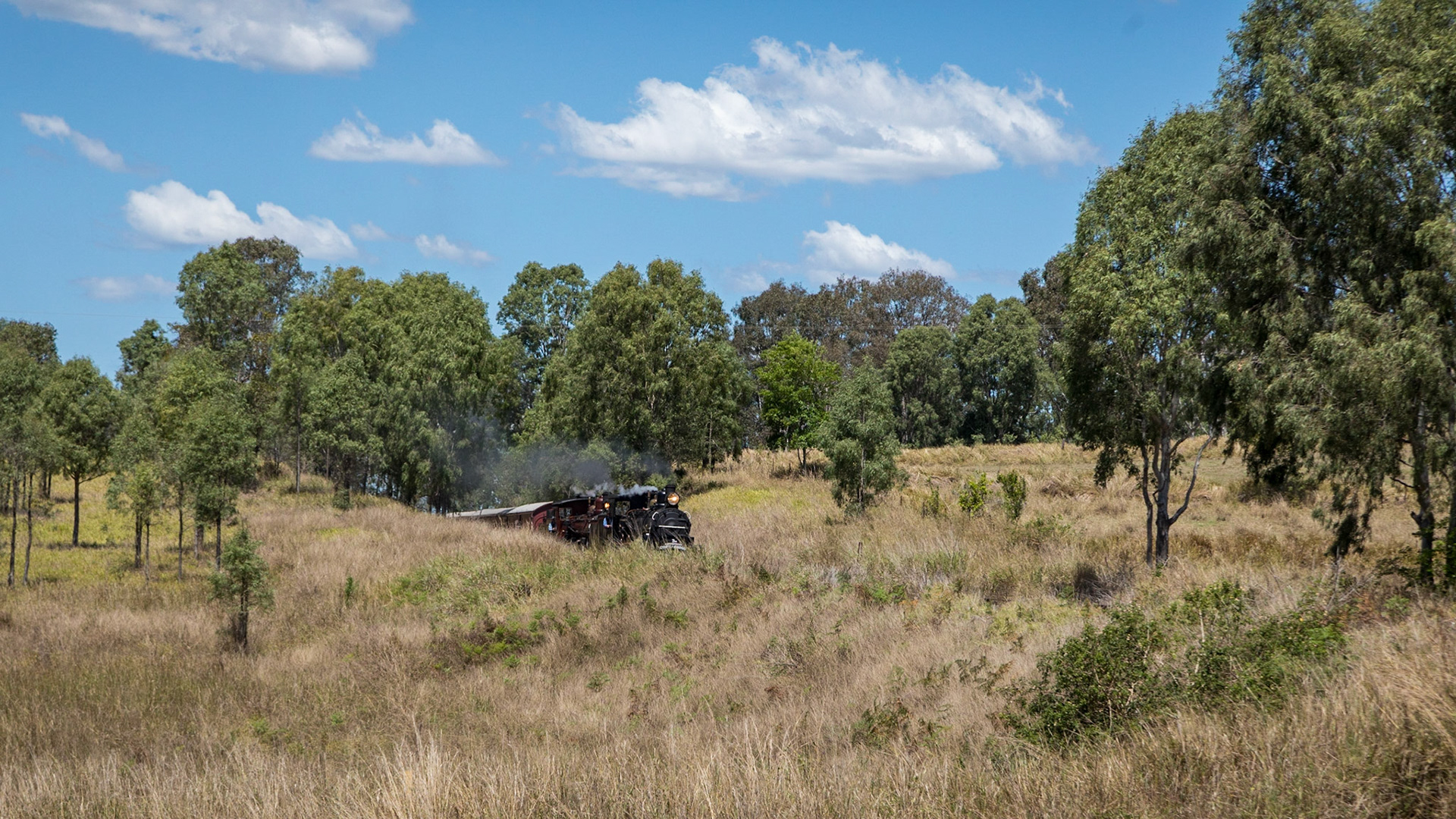 Emerging through a cutting, Steam Locomotives 967 &amp; 974 doubled for the run back towards Gympie.