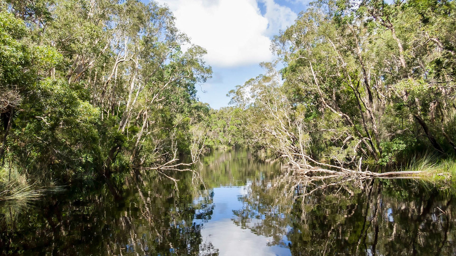 Passing through the Noosa Everglades