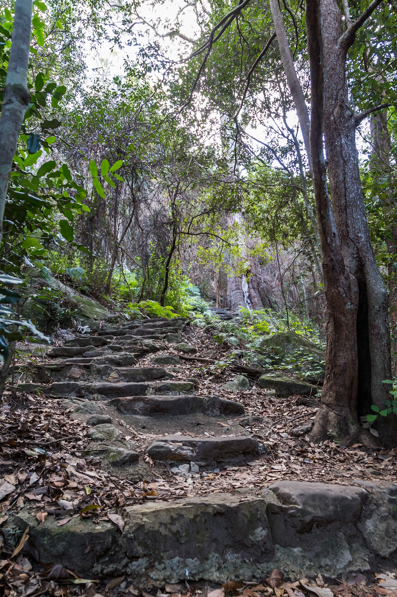 On a Cania Gorge Trail