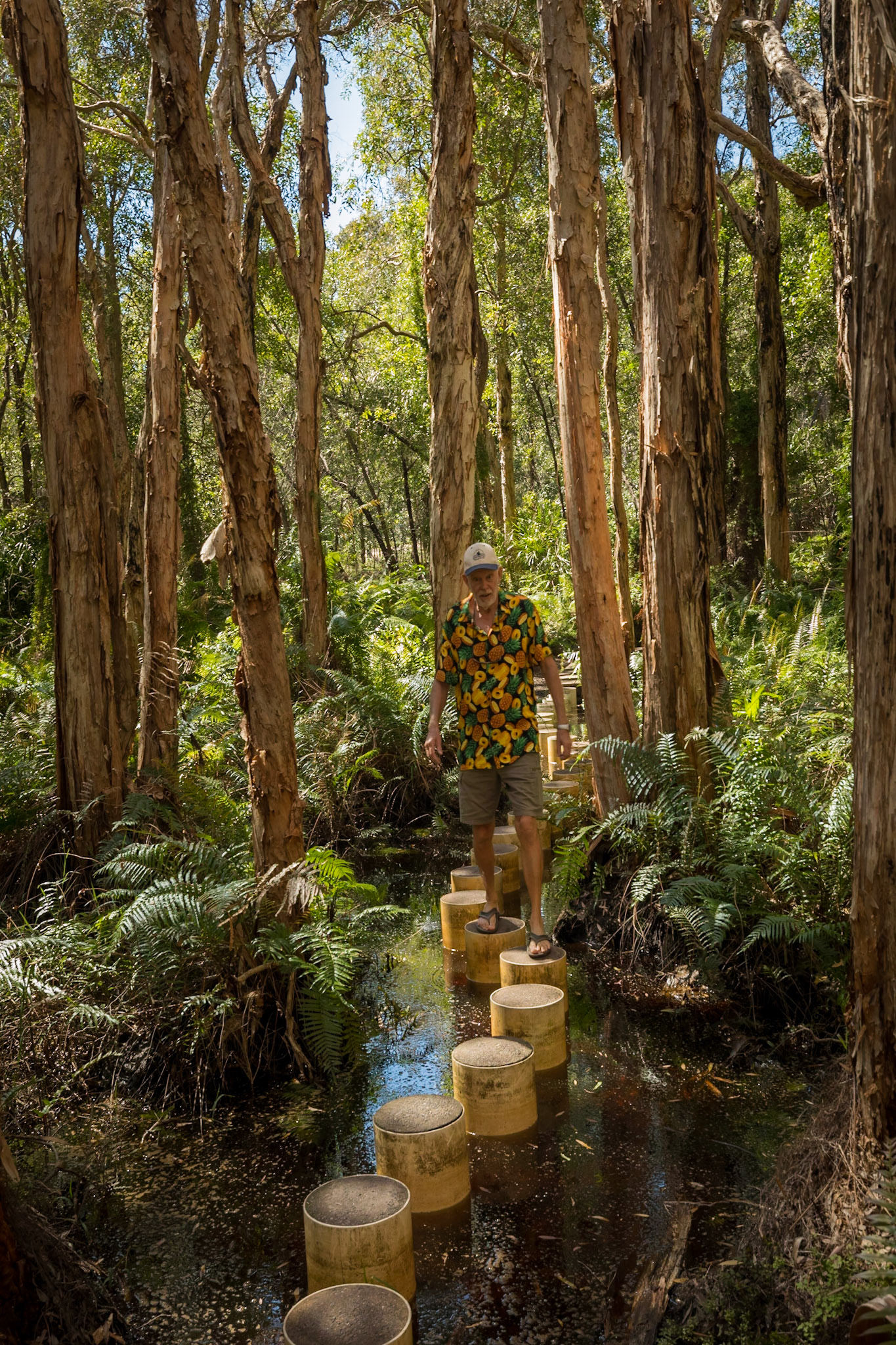 John along the Stringybark Forest Boardwalk (19/4)