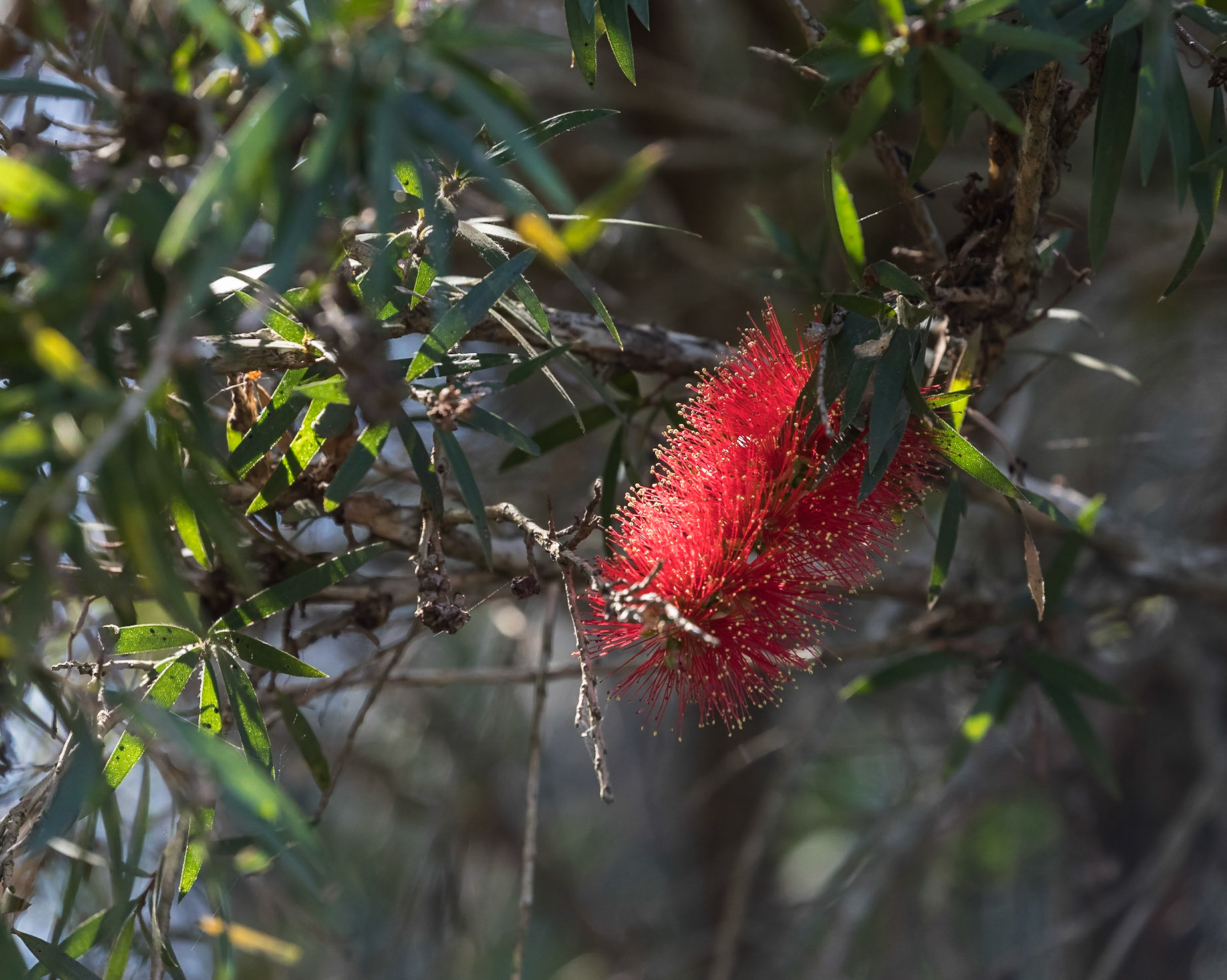 Baldwin Swamp Environment Park