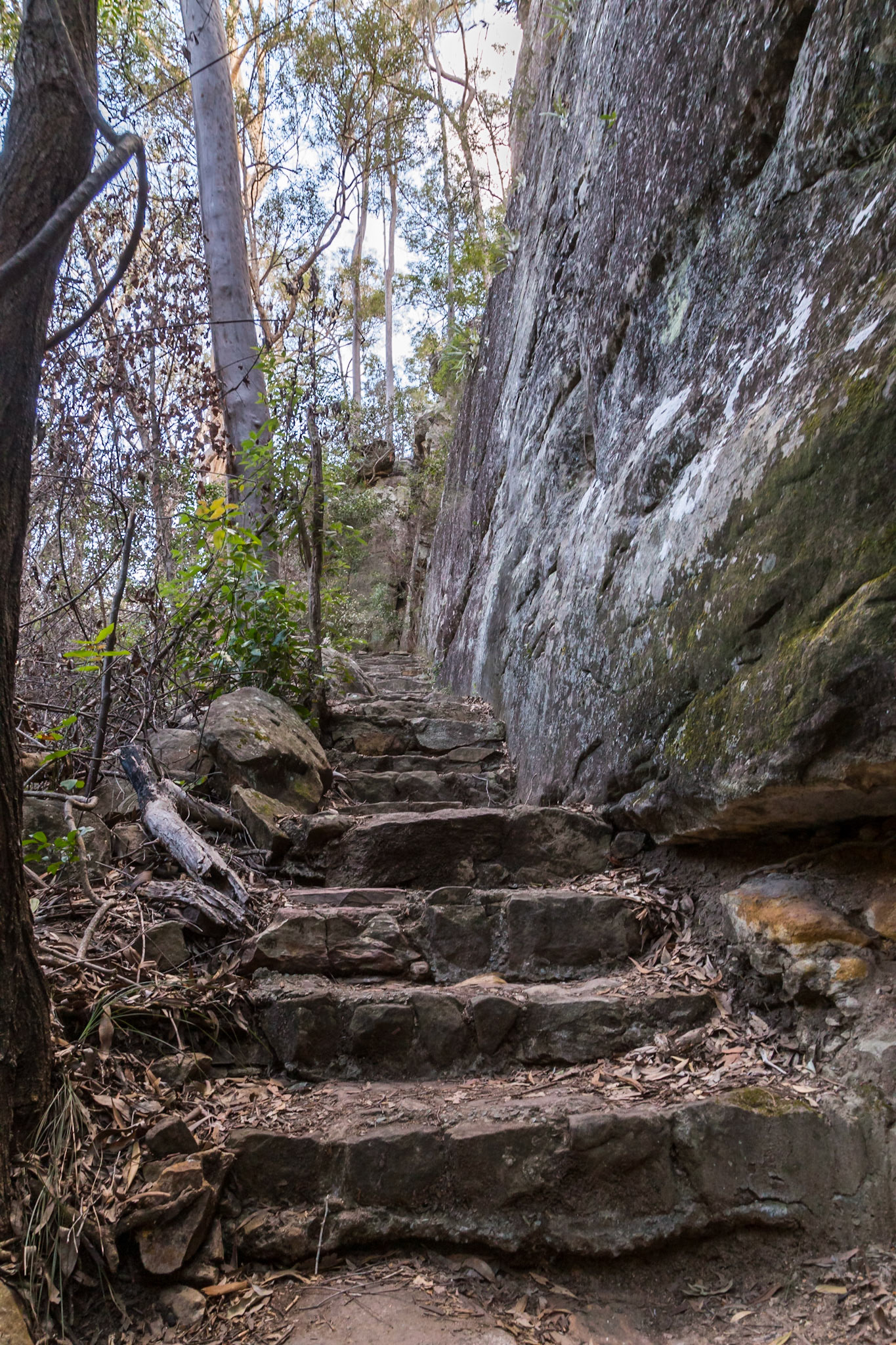 On a Cania Gorge Trail