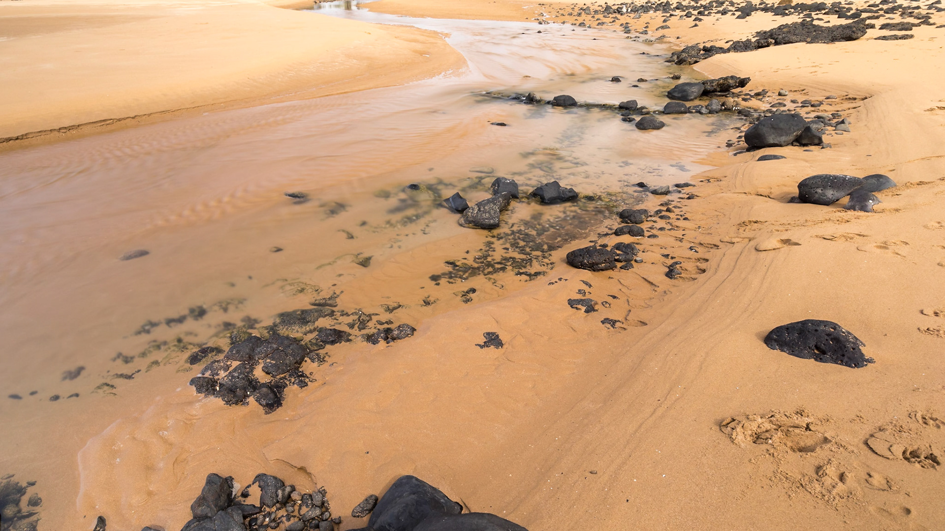 Palmer Creek, Innes Park