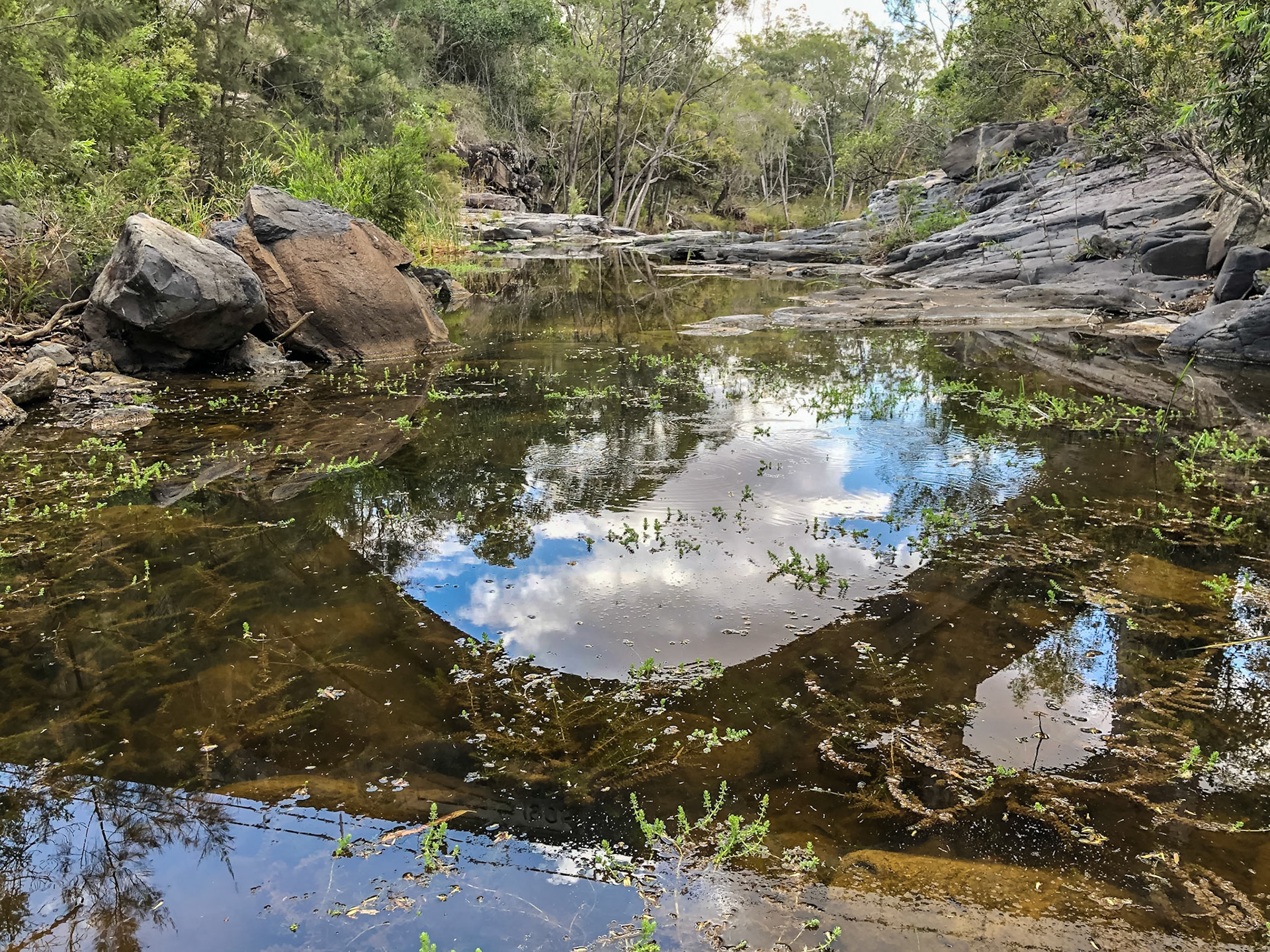 Reflection of Chowey Bridge in the water of Deep Creek