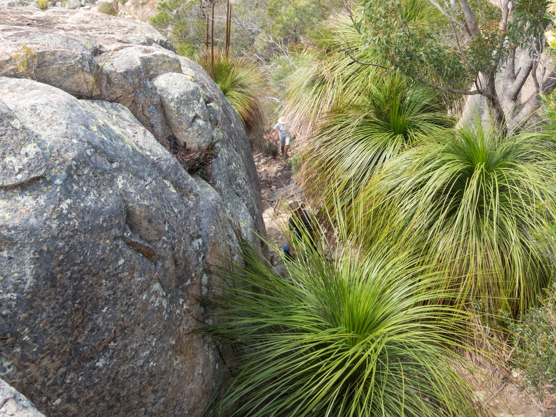 a couple of laggards on the trail approaching the mountain summit
