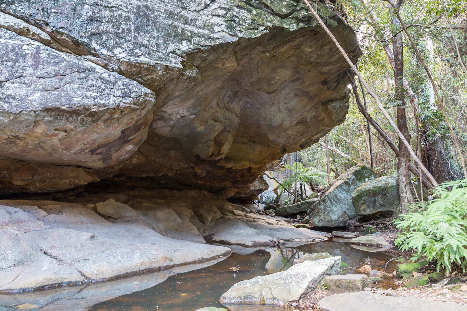 The Overhang, Three Moon Creek